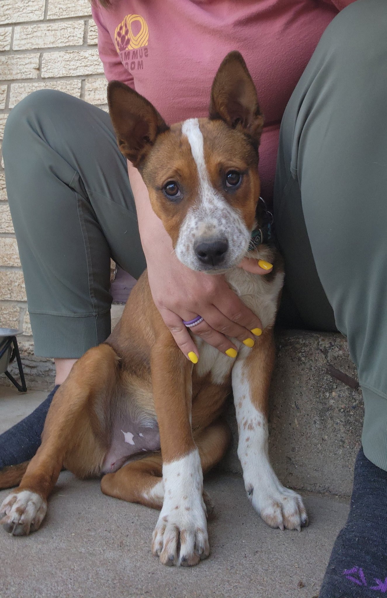 2026-03-11 18.05.24.jpg