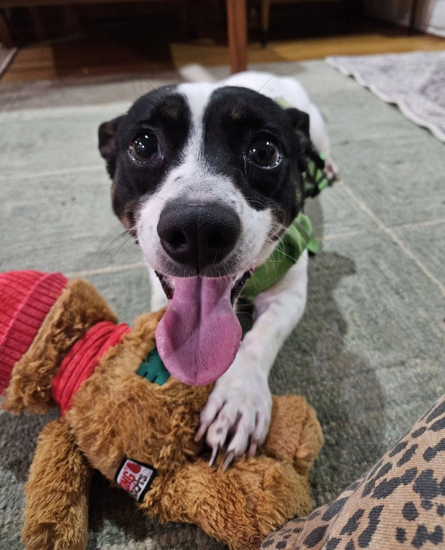Warren Mears hopes your Monday is going as well as his. He found a stuffy and everything.