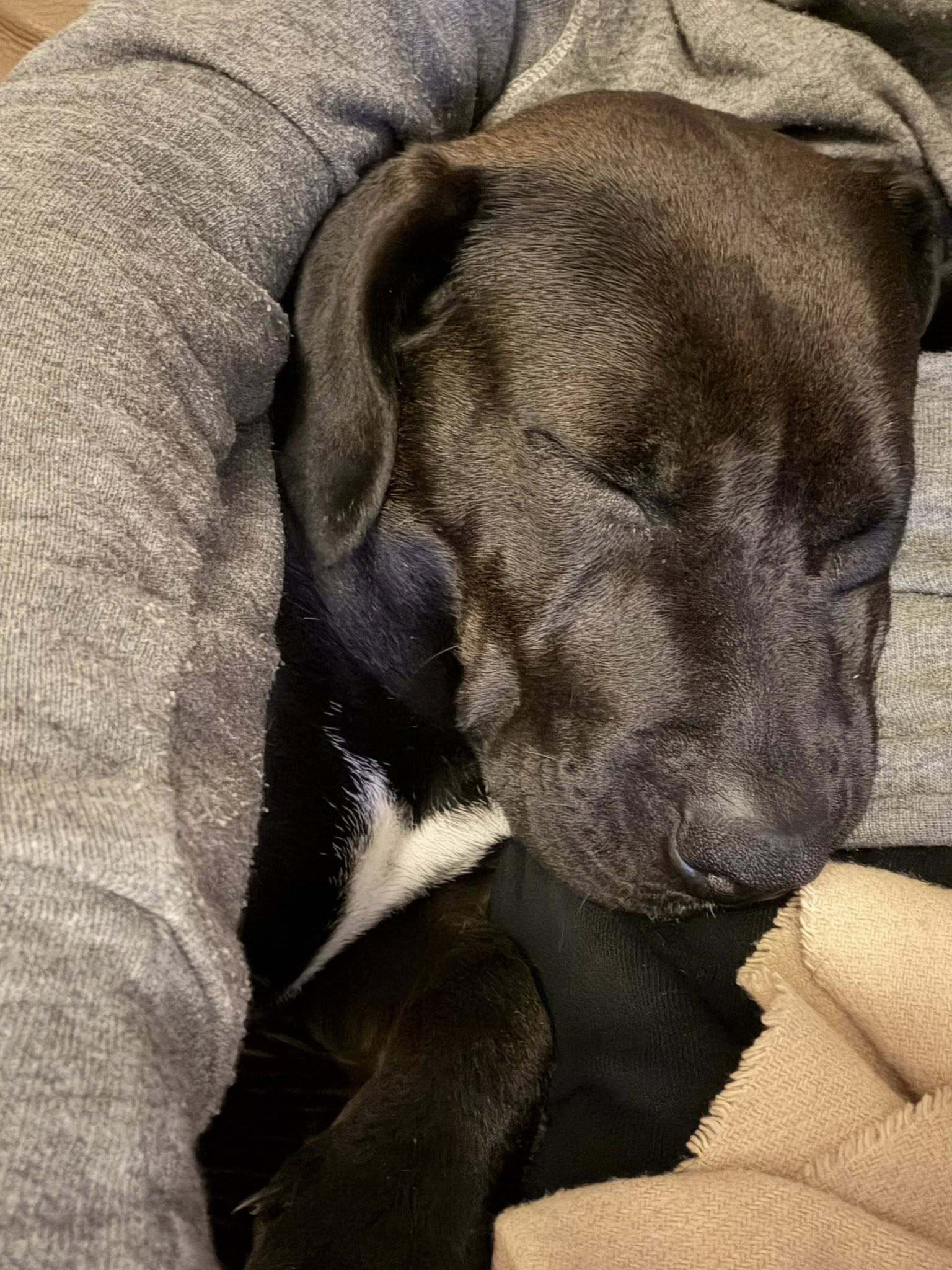 650115516_122120651649150410_1104980029238819766_n (1).jpg