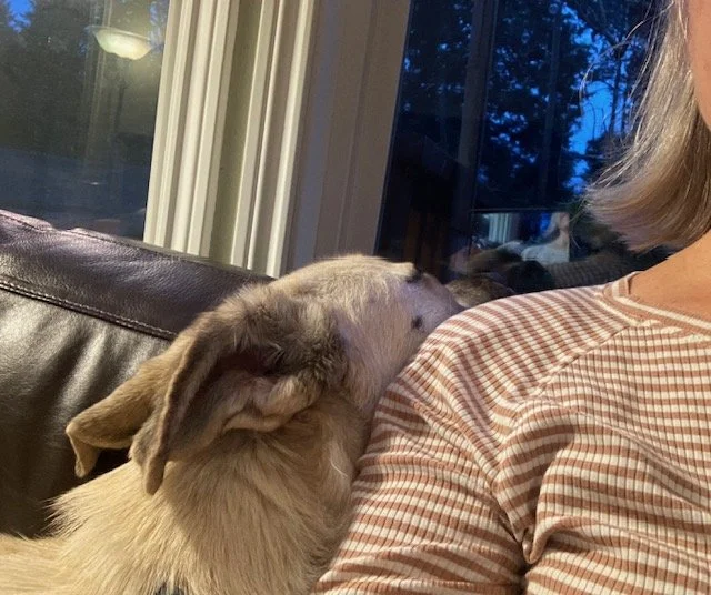 Lindashouldercuddles.jpeg