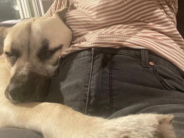 Lindalapcuddles.jpeg