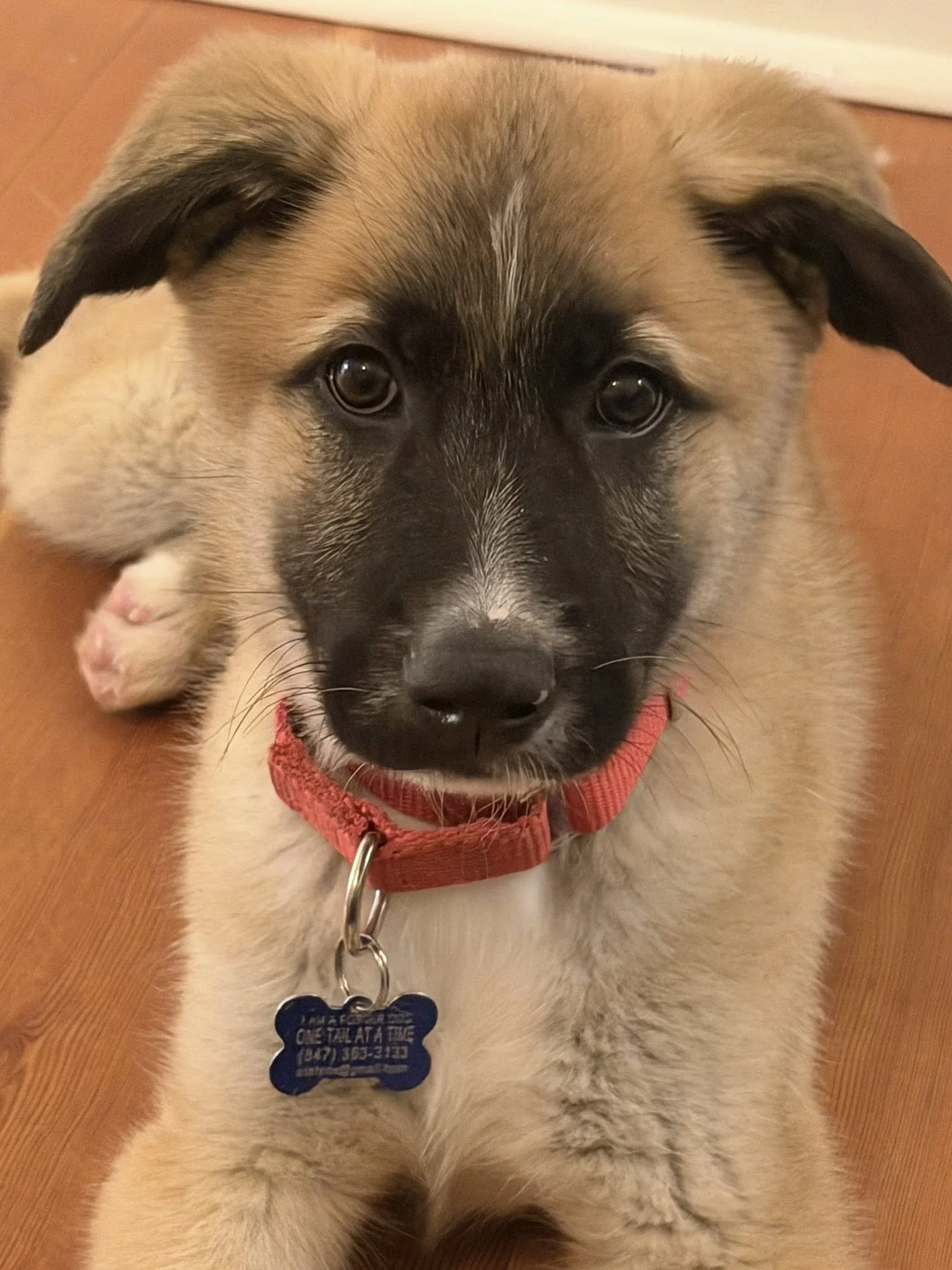 Theodore - I’ll be at the AC for meet &amp; greets on 3/21!