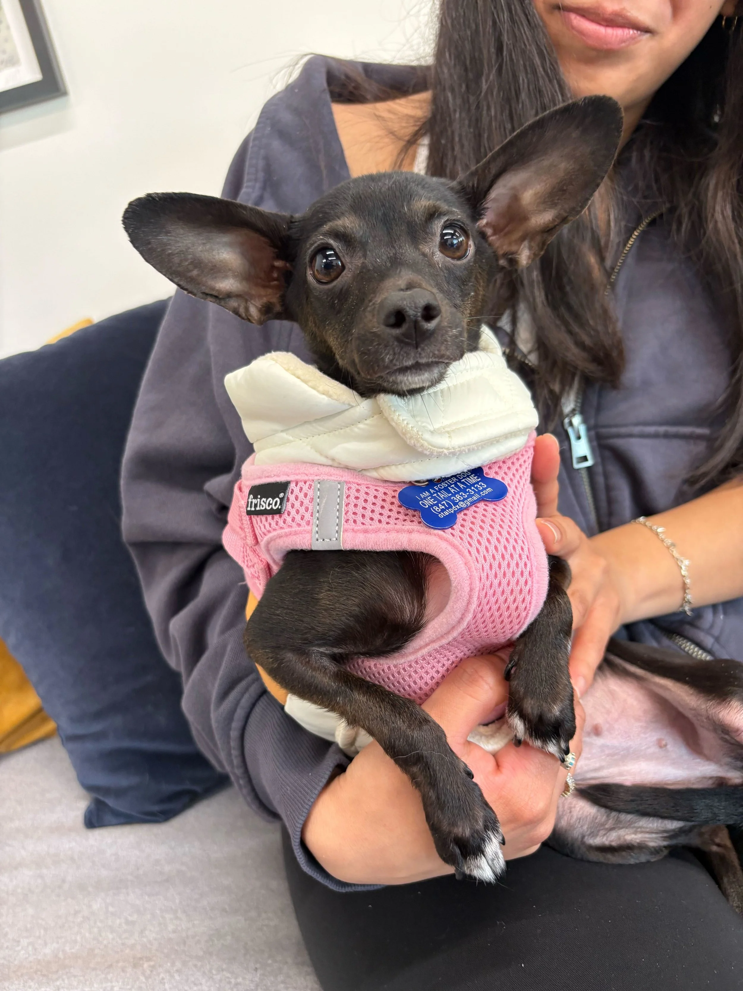 Anya - I’ll be at the AC for meet &amp; greets on 4/2!