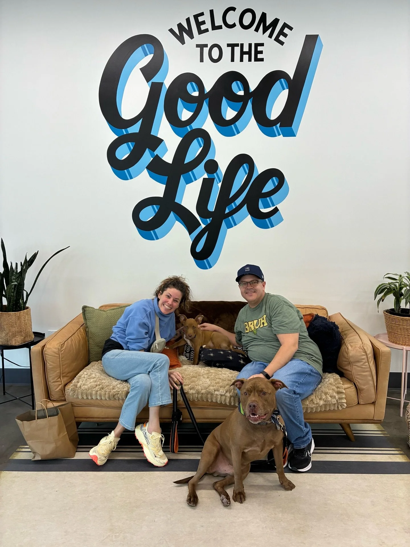 Spring has officially sprung and 14 dogs bloomed into the Good Life!

Oz, Alvin, Theodore, Dunkaroo, Tara, Razzles, Angel, Bogart, Birch, Kendra, Gertie, Delroy, Louisa, and Fawn all found their people last week.

The season is off to a strong start 