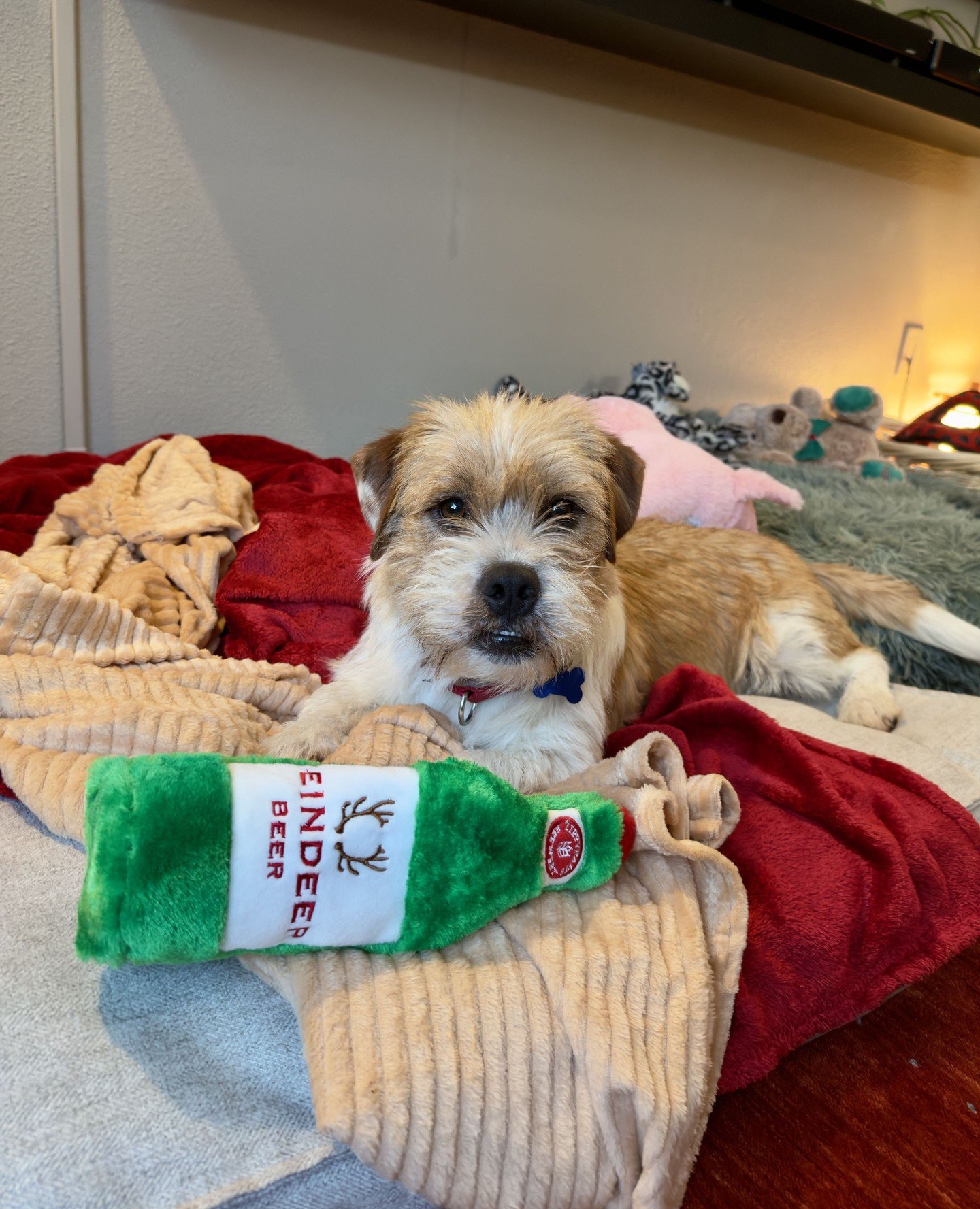 As J̶i̶m̶m̶y̶ ̶B̶u̶f̶f̶e̶t̶t̶ Gage Petronzi said: It's only half past twelve but I don't care. It's five o'clock somewhere.