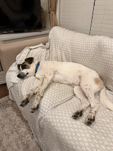 Louiserests.jpeg