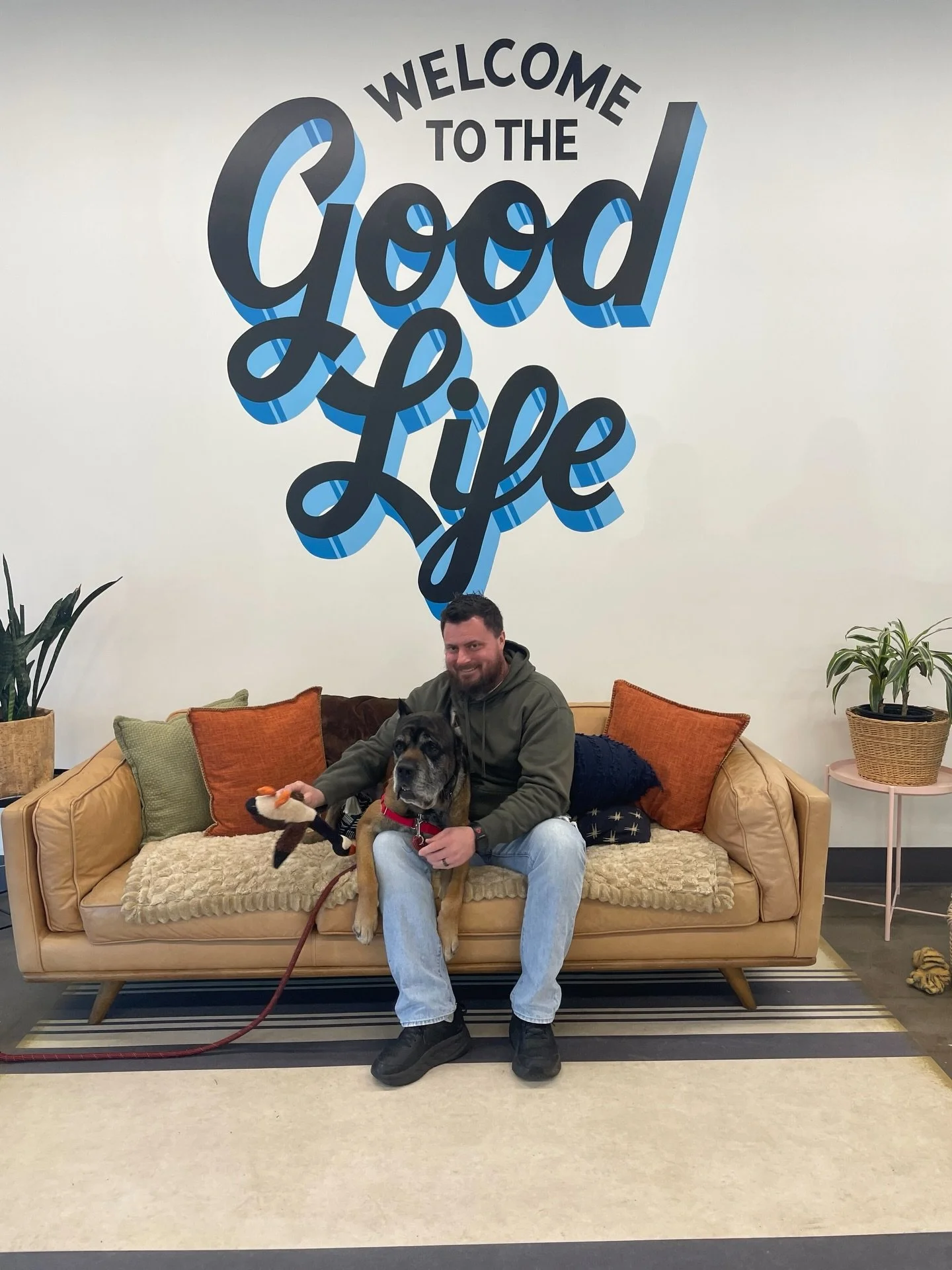 We have a very happy update&hellip; Mort has been adopted!

This gentle giant will now be living on 5 acres with 4 dogs, 2 cats, 20 chickens, 3 ducks and 3 pigs. We know he will be well loved there, without a doubt.

Welcome to the Good Life, Mort!

