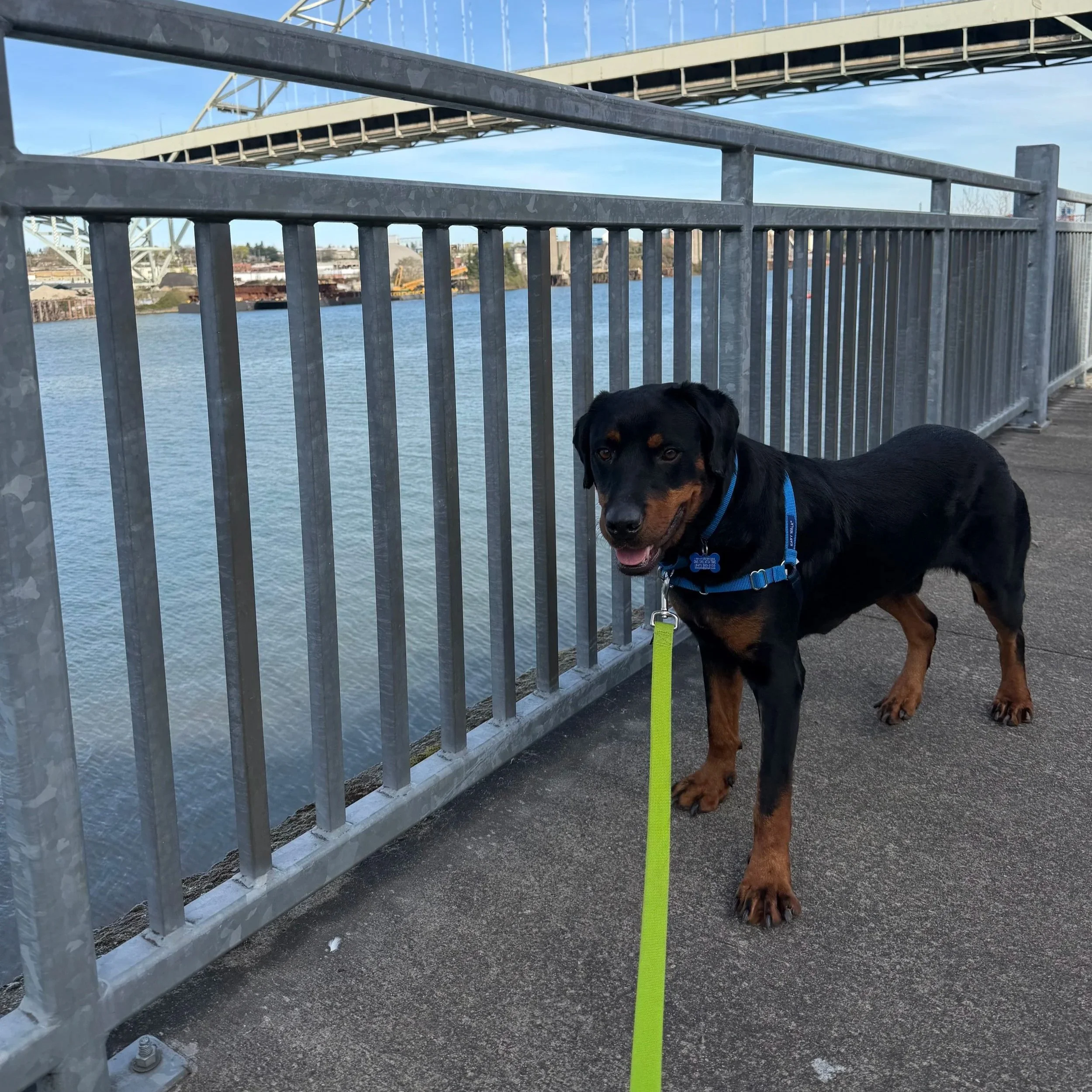 Ristretto - I’ll be at the AC for meet &amp; greets on 4/16!