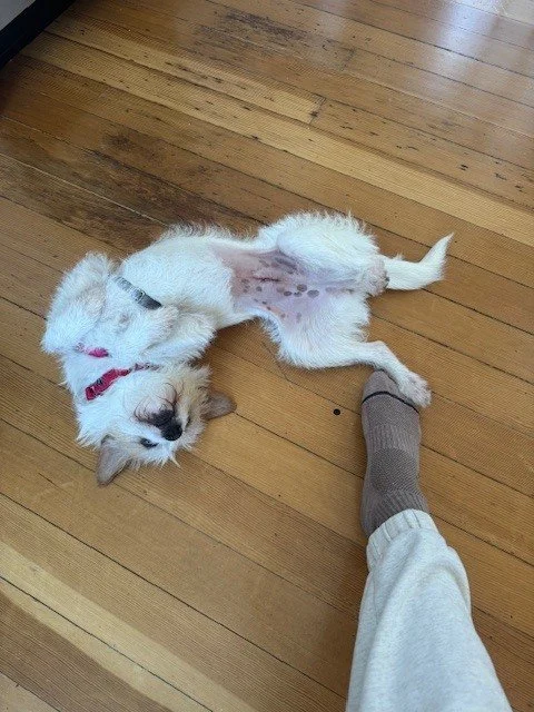 image2 (4).jpeg