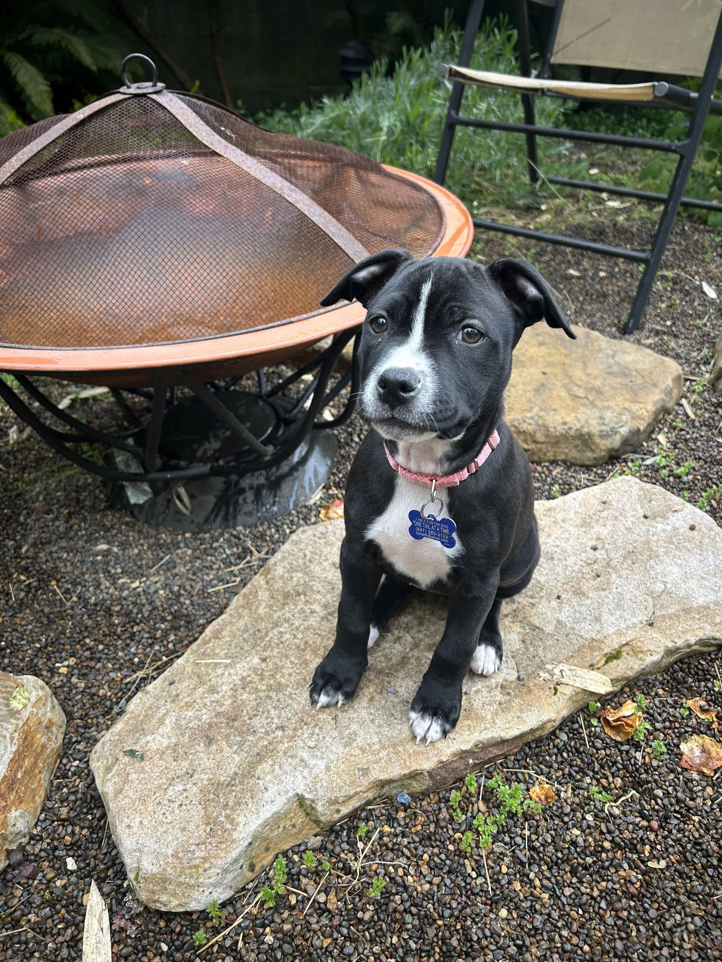 Cold Brew - I’ll be at the AC for meet &amp; greets on 4/16!