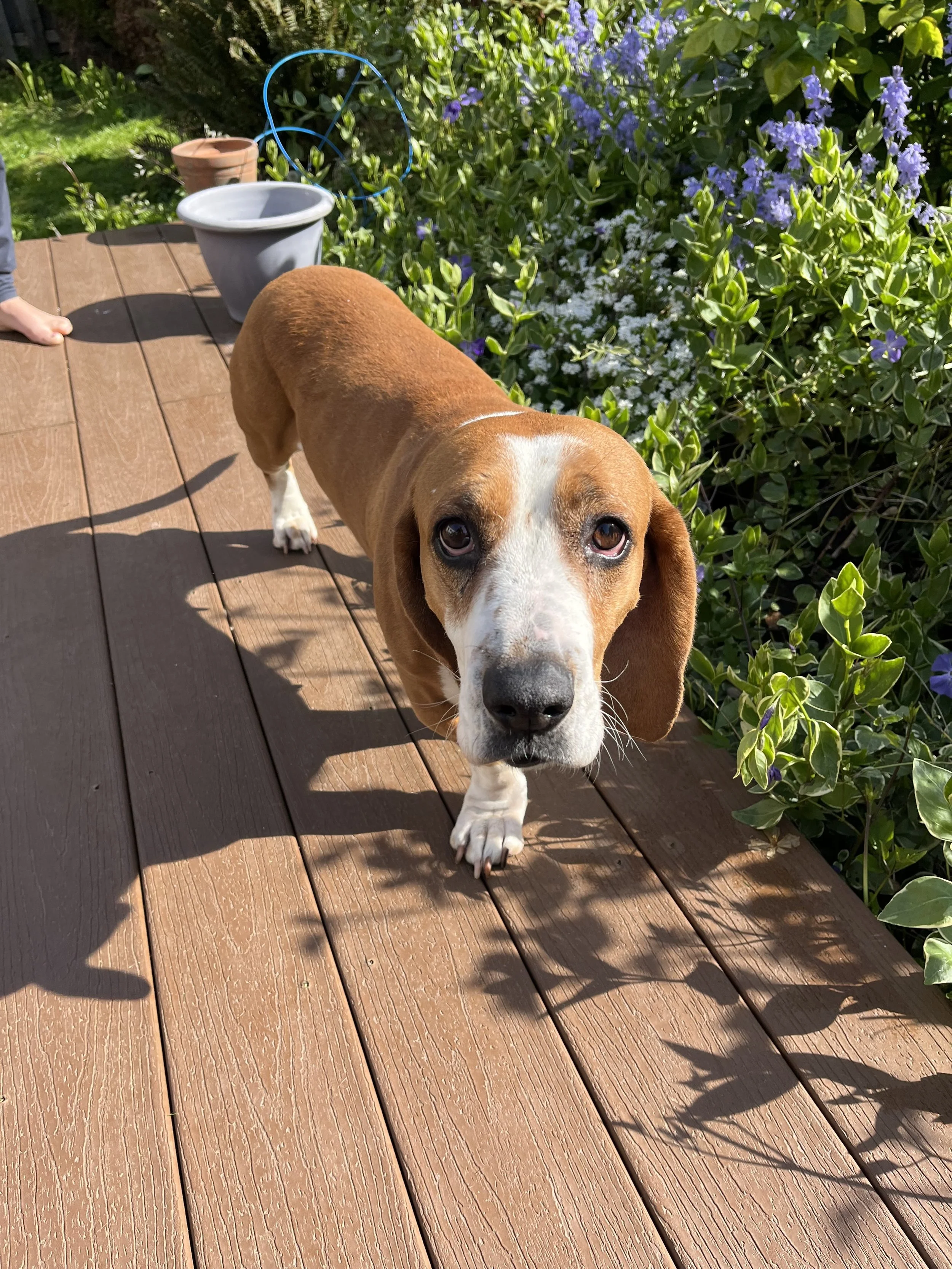 Eugenia - I’ll be at the AC for meet &amp; greets on 4/24!