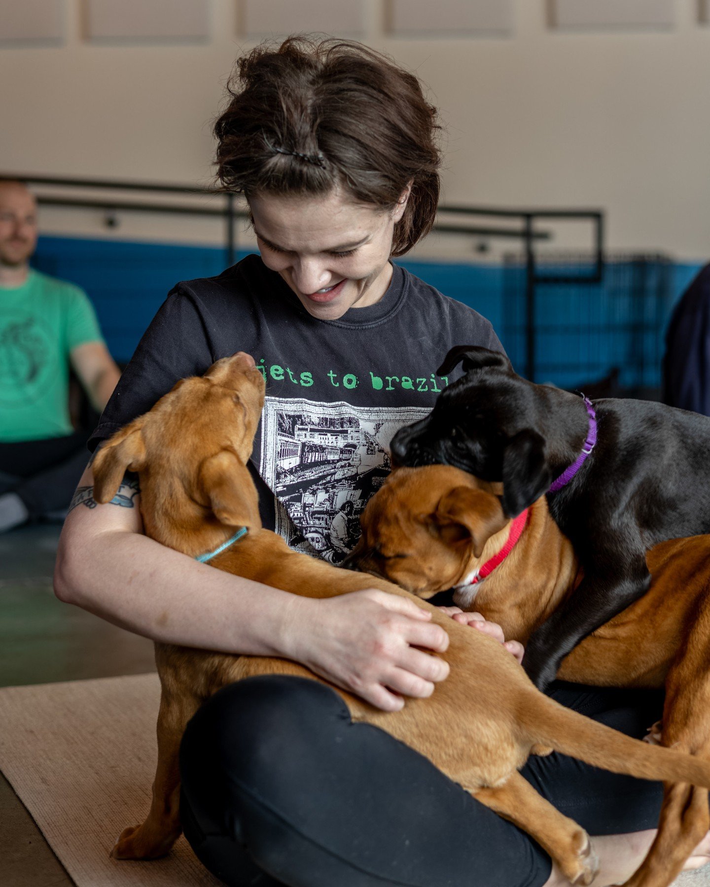 The forecast this weekend calls for sunshine and a high chance of puppies!⁠
⁠
Stretch into spring -- and get your first look at our Bone Ball babies -- this Sunday, 4/26 11AM-noon at our Adoption Center for Puppy Yoga.⁠
⁠
Open to ages 12 and up, gues