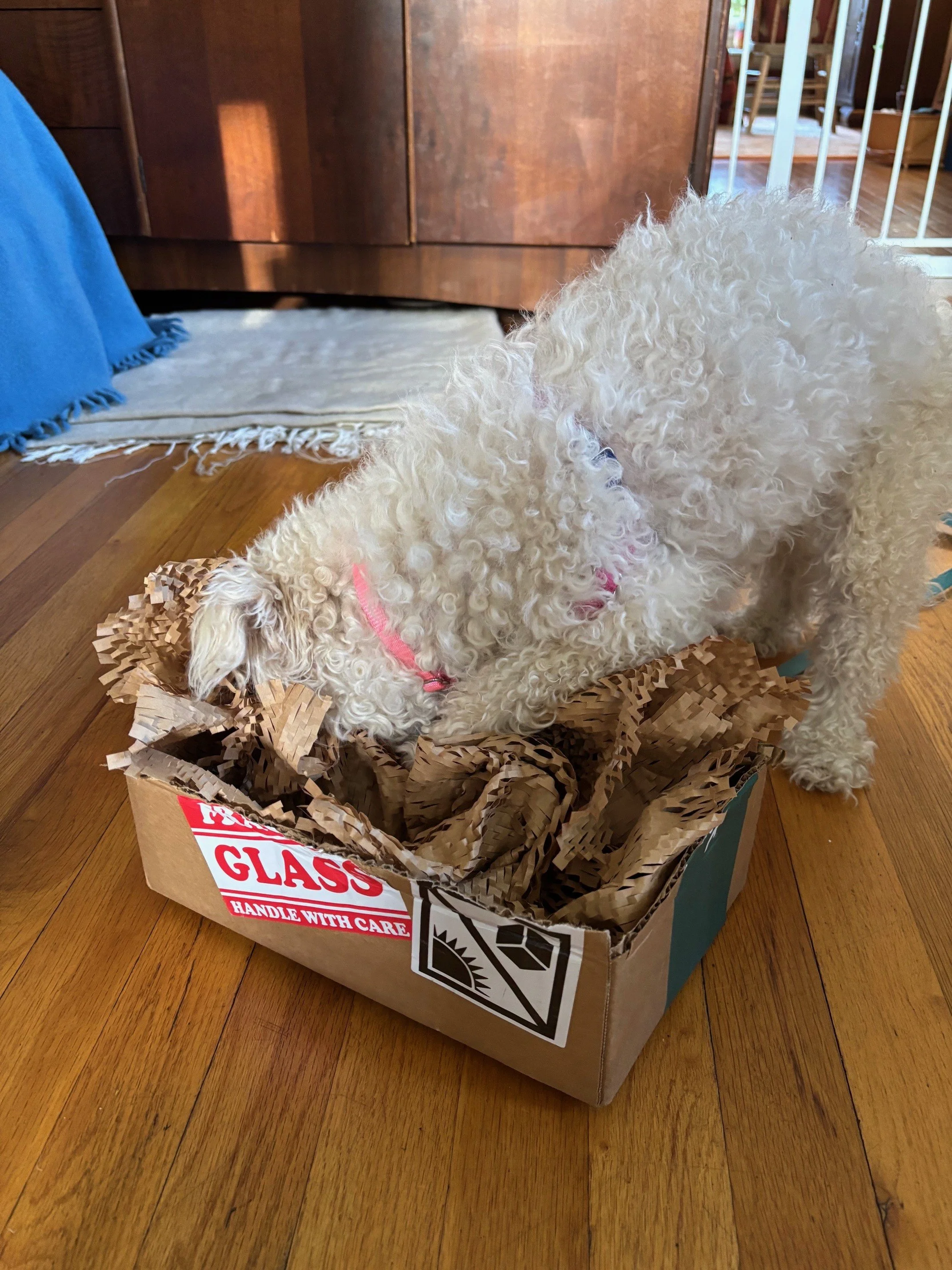 Willowenrichmentbox.jpeg