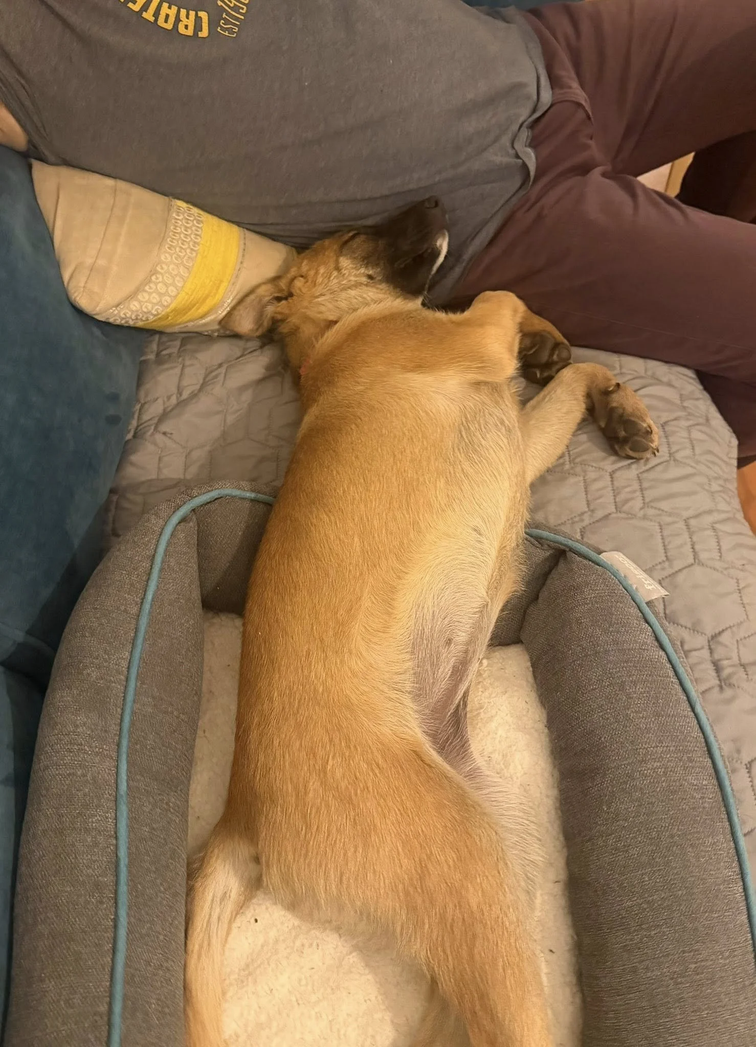 Sallysleeps.jpg