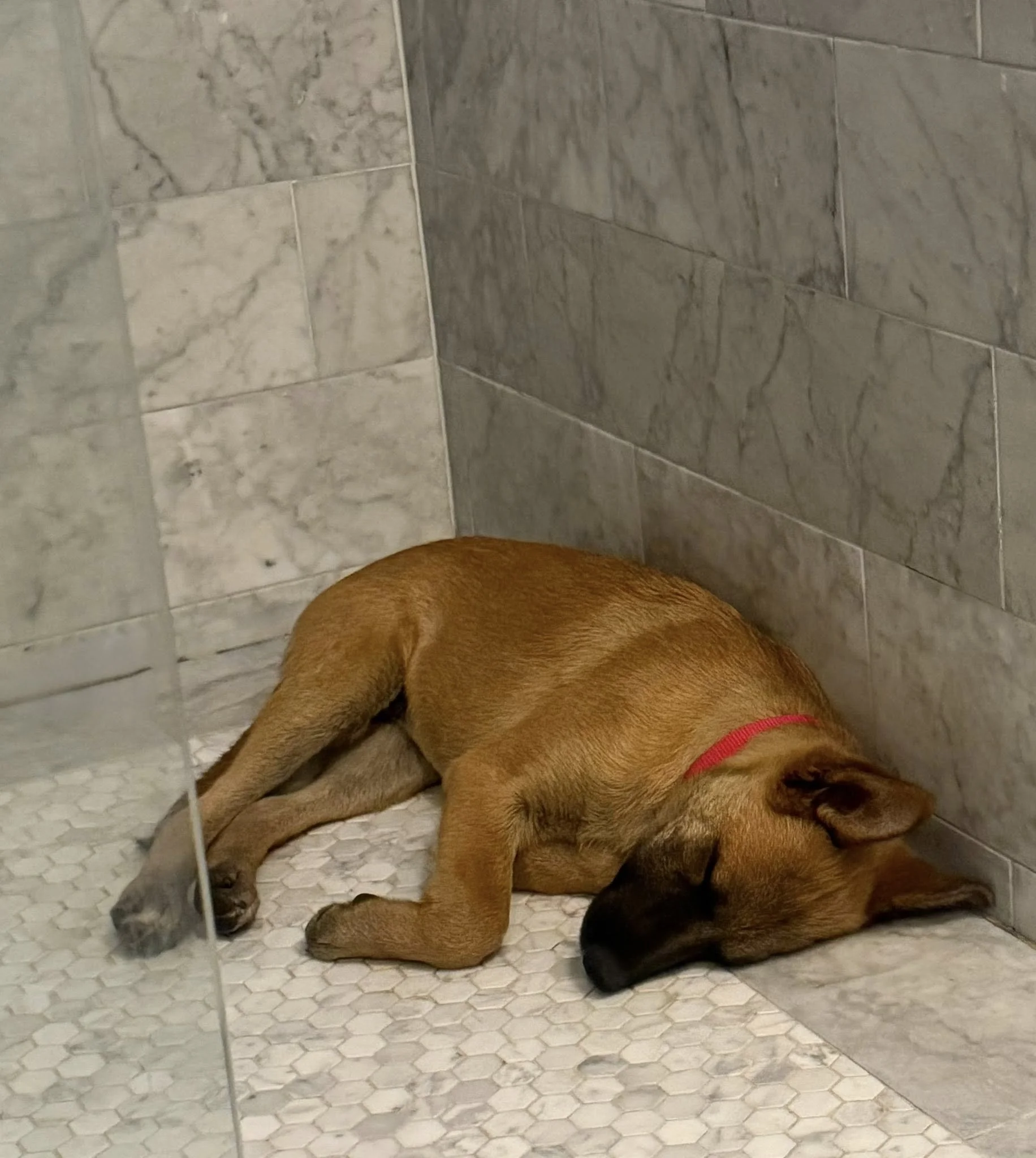 Sallyshowernap.jpg