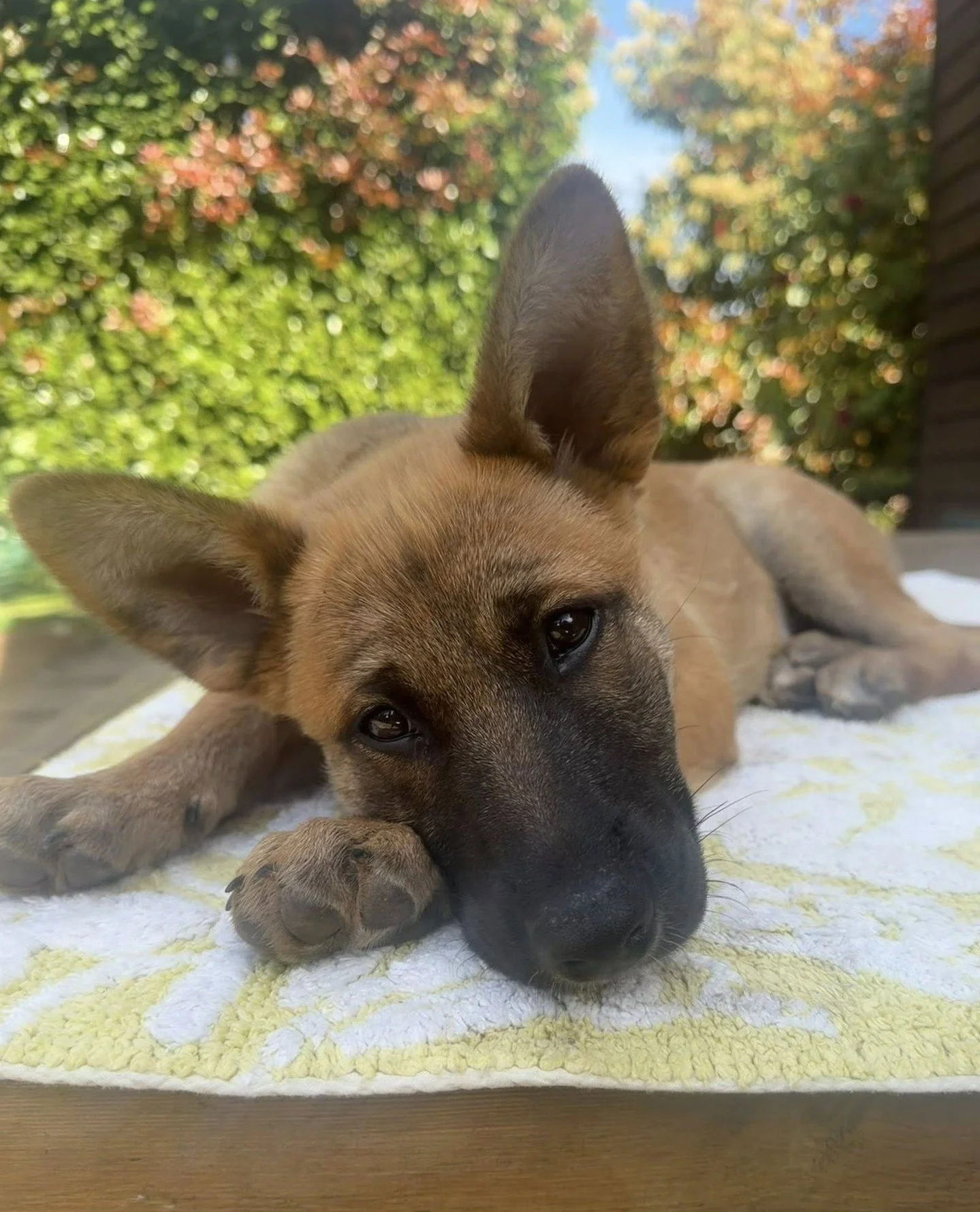 We asked Sally for a couple photos of herself and she sent her best work.