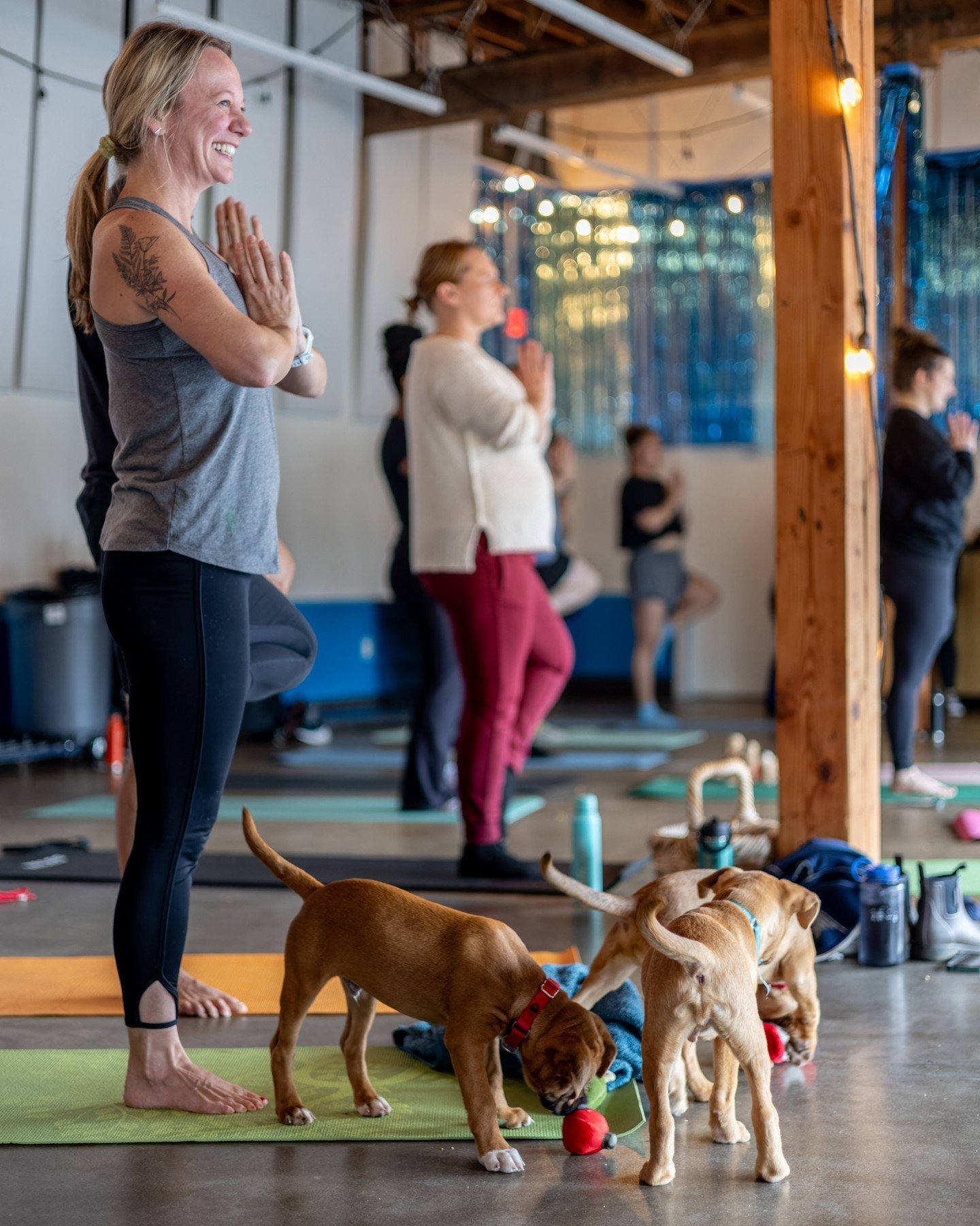 You know how the saying goes -- April showers brings May puppies.⁠
⁠
Celebrate another month of spring by starting off May with Puppy Yoga at our Adoption Center this Saturday, May 2 at 10:15AM. ⁠
⁠
Relax with 60 minutes of yoga led by a certified in