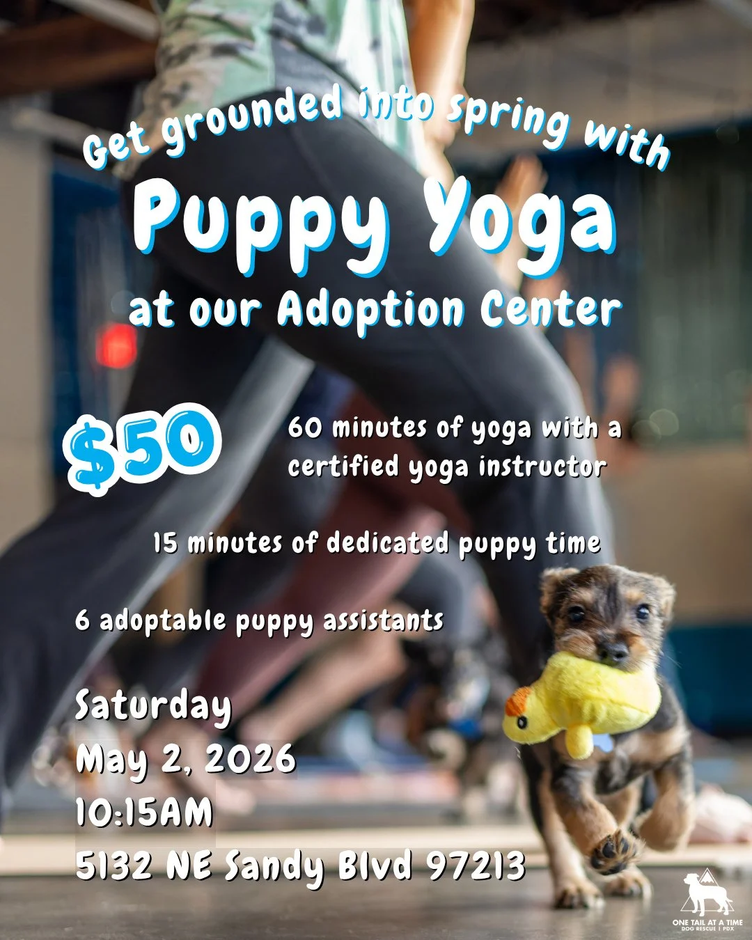 We still have spots open for Puppy Yoga this Saturday, May 2 at 10:15AM!⁠
⁠
Start your day with 60 minutes of yoga led by a certified instructor and six adoptable puppy assistants. There&rsquo;s also 15 minutes of dedicated puppy time, of course. Whe