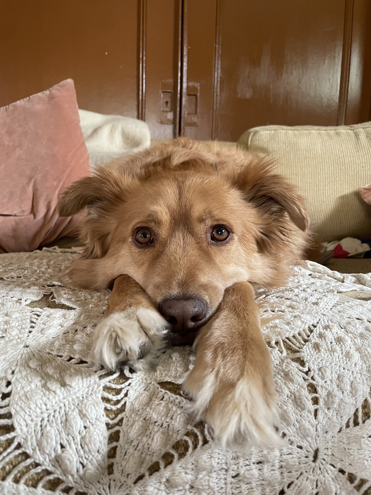Benny