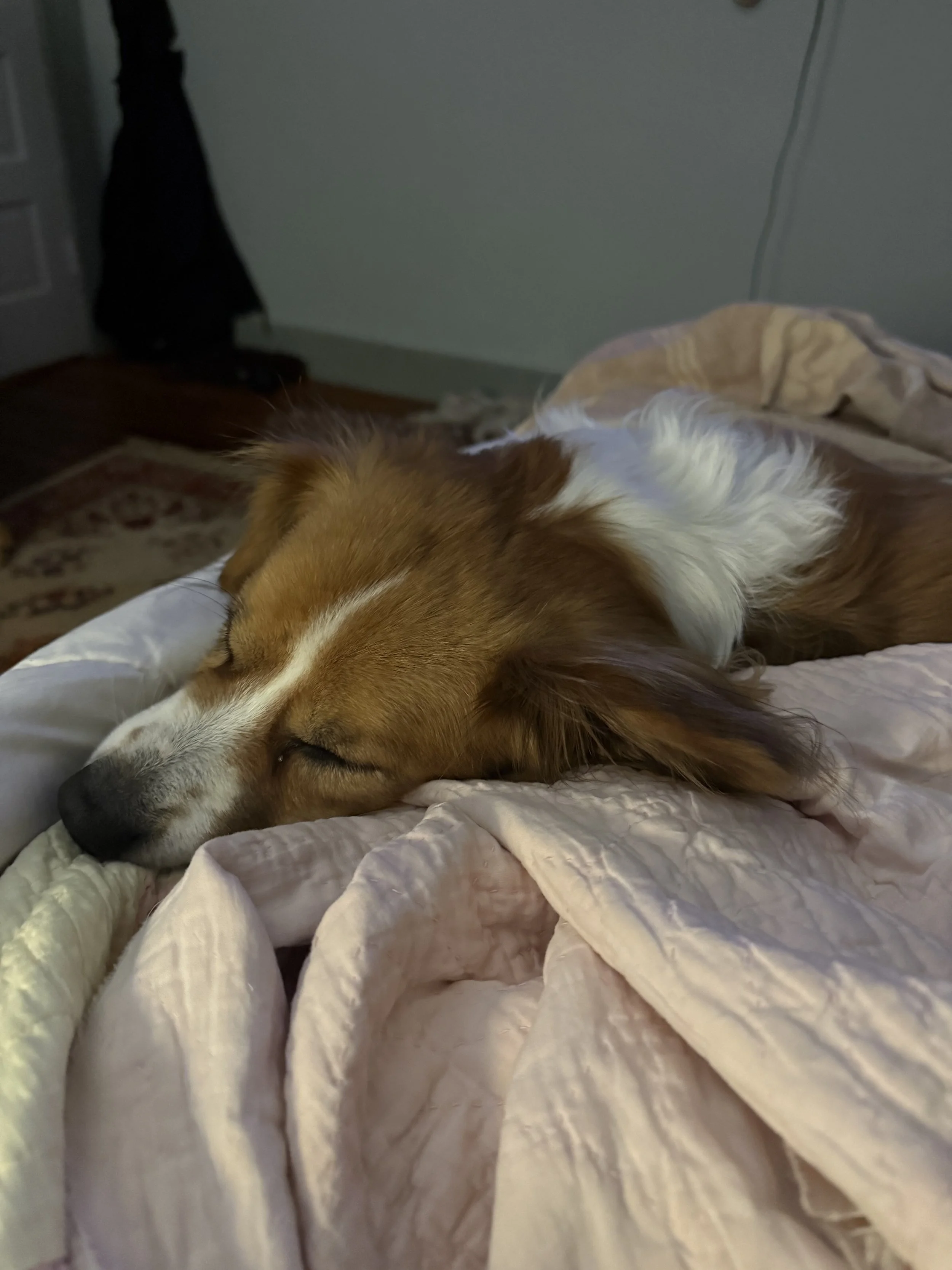 Cortadosleeps1.jpeg