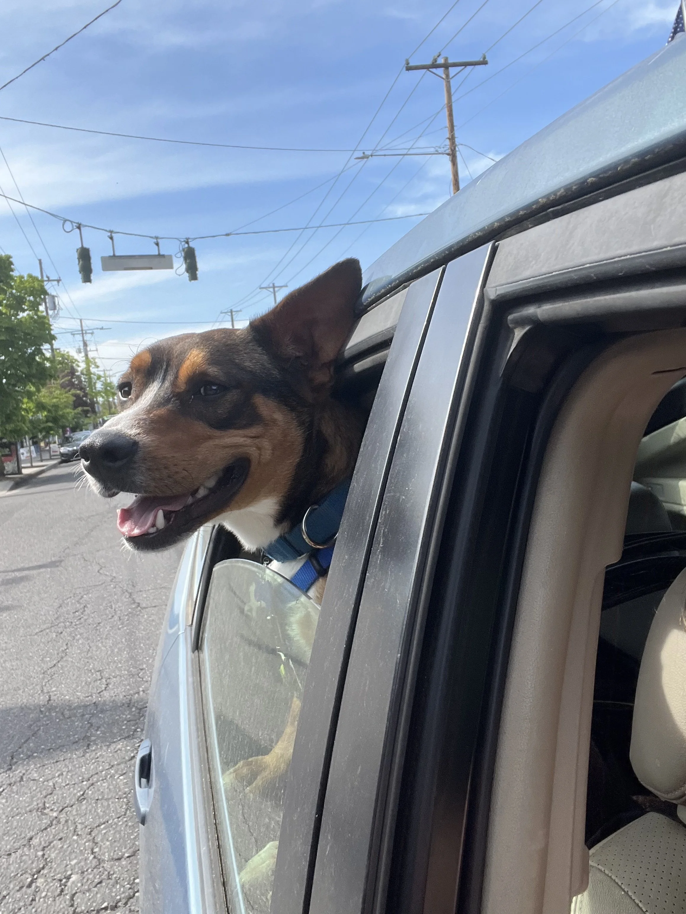 Keplercarride.jpeg