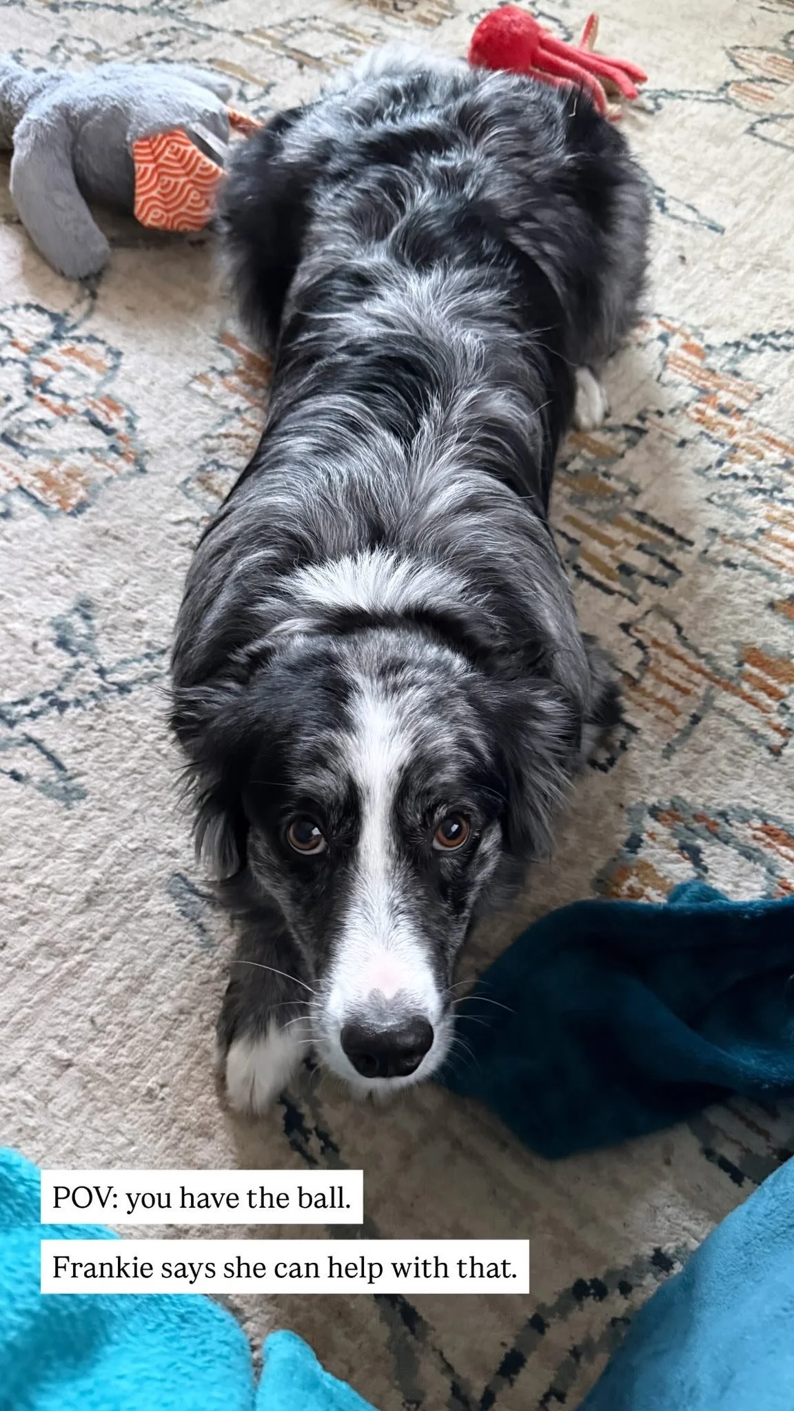 Francinepuppyeyes.jpg