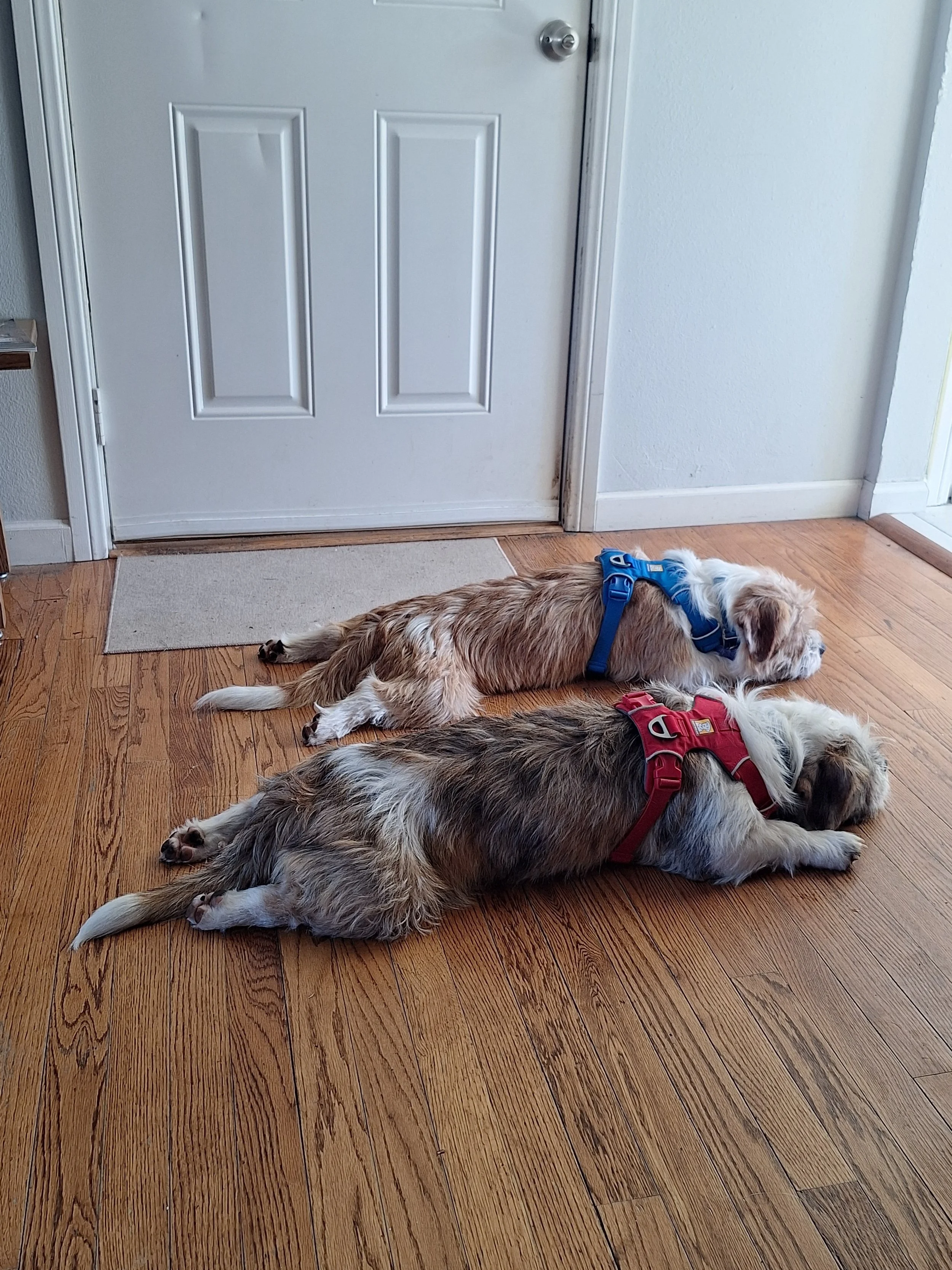 BobandGageunisploot.jpg