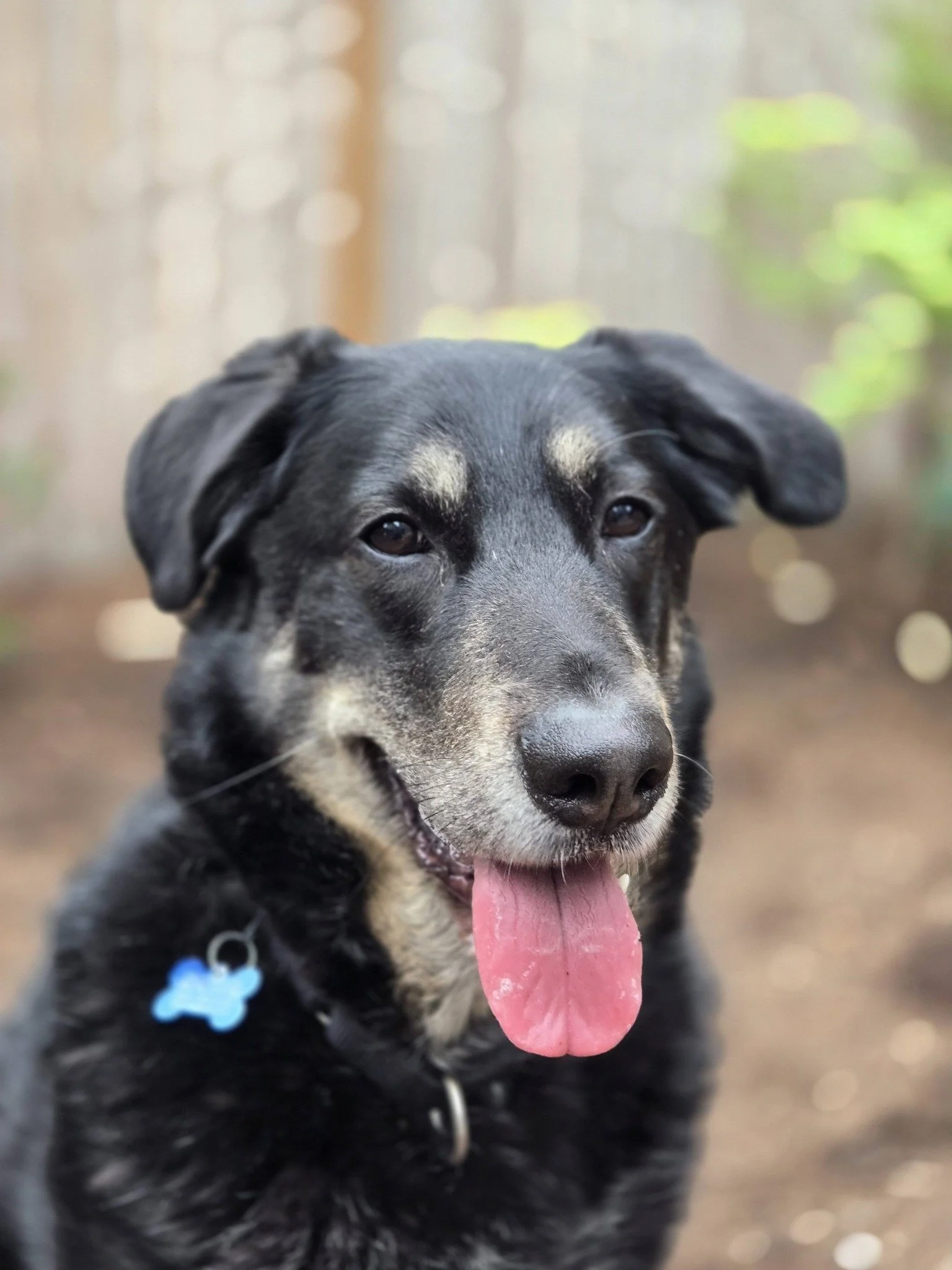 Karloutdoors3.jpg