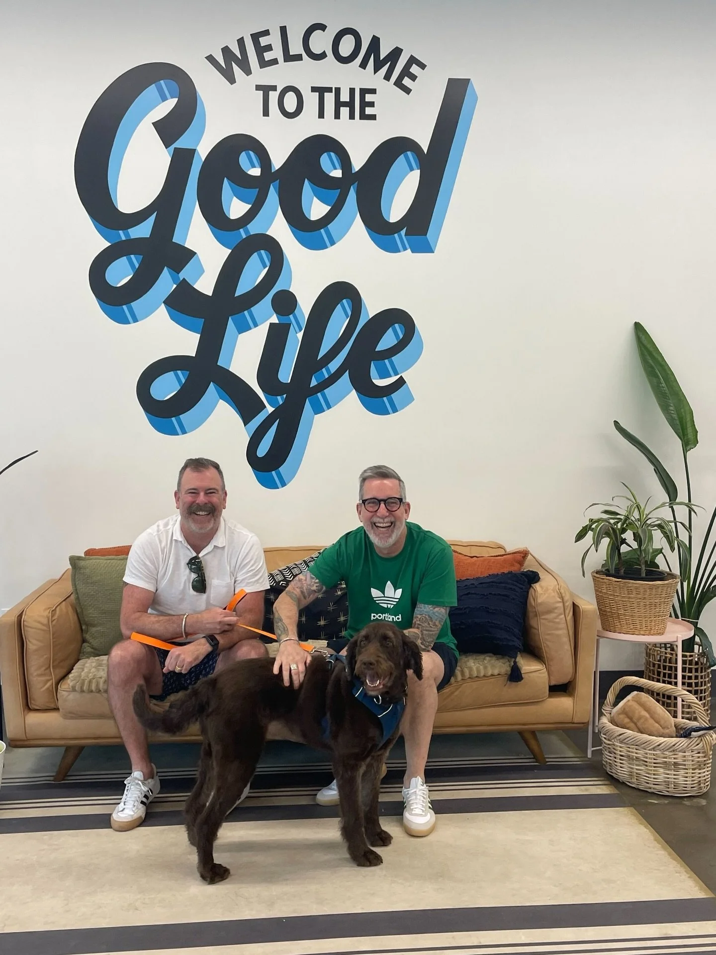 Wooooeeee, you can say we had a busy time last week seeing 19 dogs off to the Good Life.

Congratulations to Deborah, Cortado, Earth, Jeremy, Mercury, Newton, Warren Mears, Saturn, Venus, Lasagna &amp; Manicotti, Macchiato, Cecilia, Luna, Judith, Nei