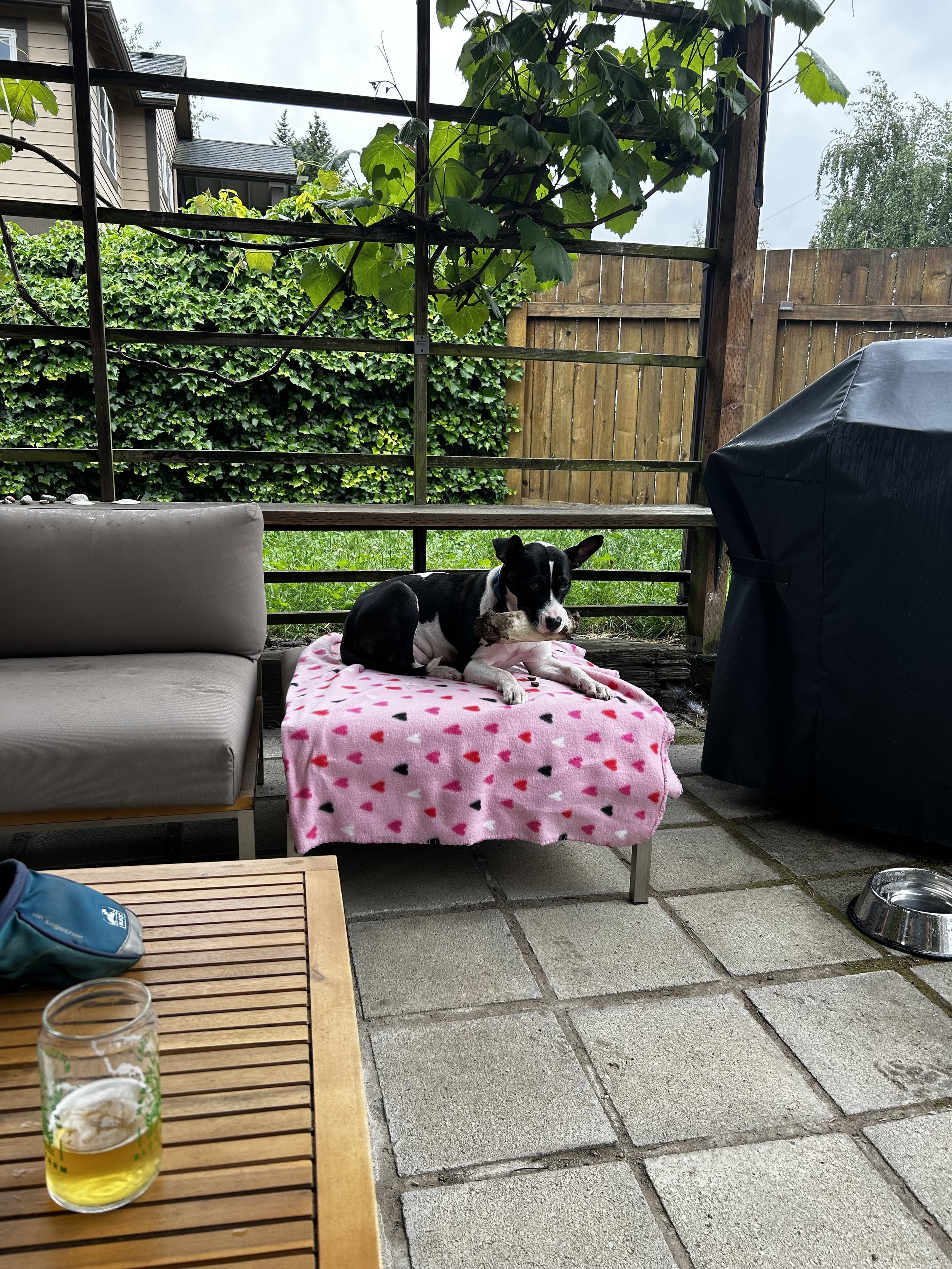 ocean6.jpeg