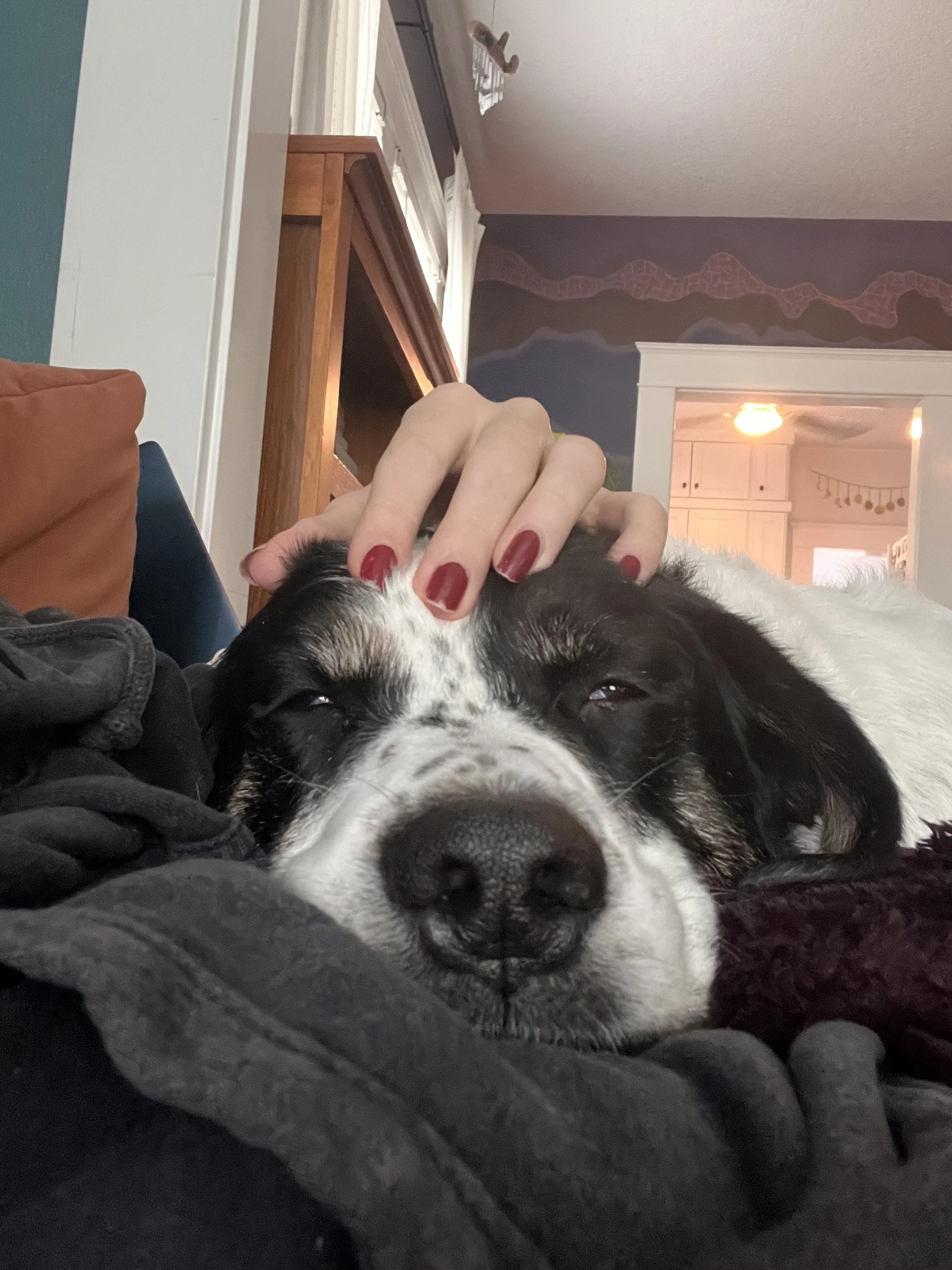 Charliecuddles.jpeg
