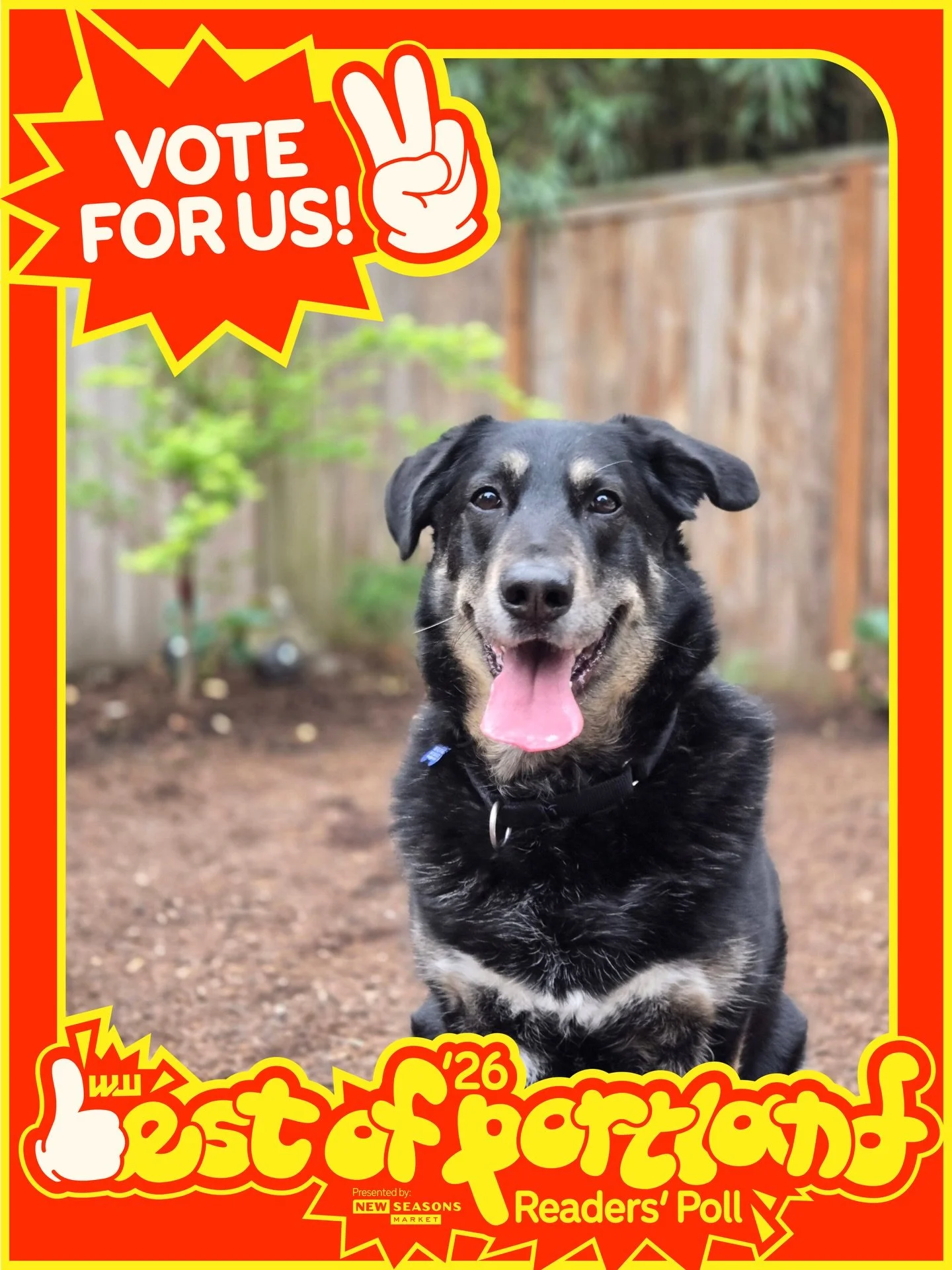 Wowza, we&rsquo;ve been nominated as a top-5 finalist in Willamette Week&rsquo;s 2026 Best of Portland Readers&rsquo; Poll for Best Community Animal Rescue!!⁠ @willametteweek⁠
⁠
Everything we do, we do for the dogs: the tiny ones, the scruffy ones, t