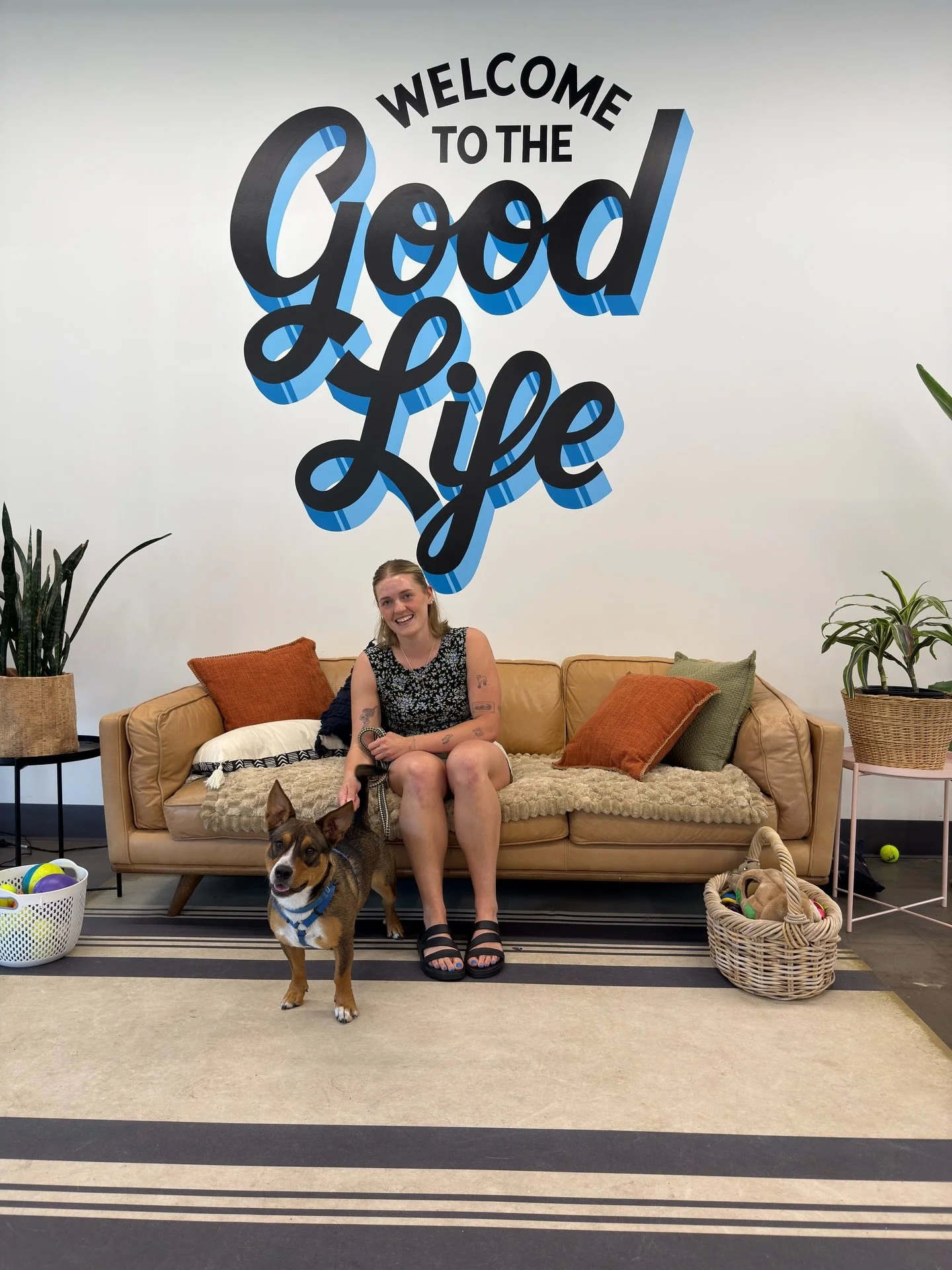 Some people say 13 is unlucky. We would like to present 13 pieces of evidence to the contrary.

Happy Tails to Kepler, Surfer, Galileo, Sangria, Mojito, Mai Tai, Conch, Marina, Buoy, Francine, Paloma, Pina, Espresso, and Bellini!

Each adoption means