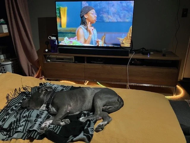 Herschelsleepstv.jpeg
