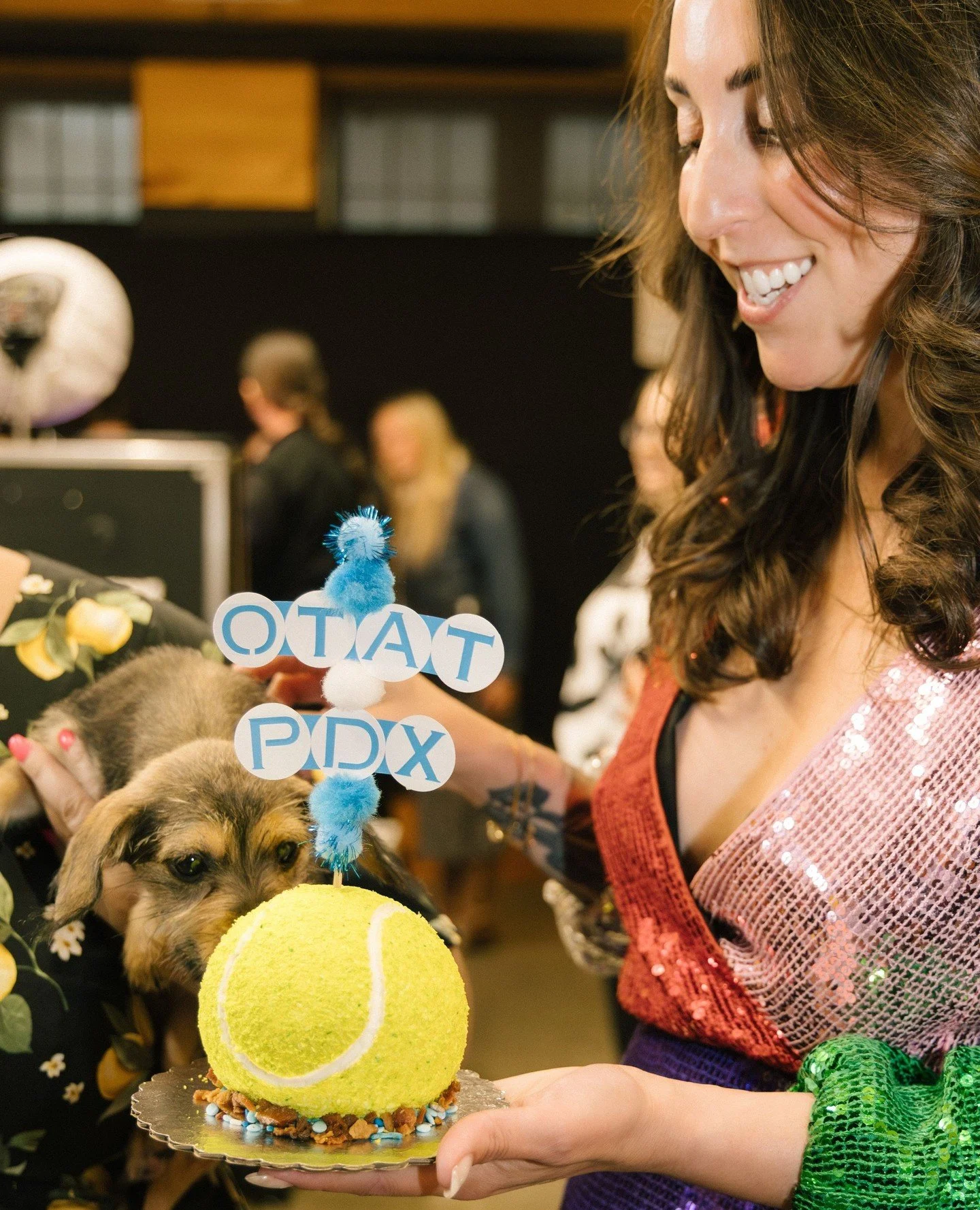 Pretending it&rsquo;s 2016 again and using #flashbackfriday for its intended purpose: remembering the evening our tiny VIPs got to enjoy a tennis ball cake made specially for them by @hiphoundbarkery / @hiphoundshop at Bone Ball last week.⁠
⁠
Not one