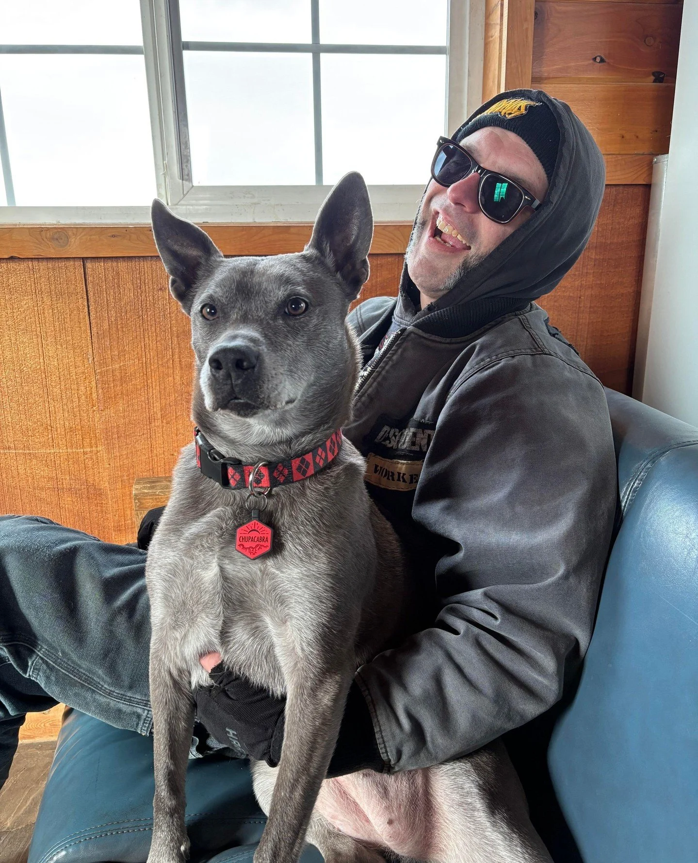 THIS IS NOT A DRILL. WE REPEAT, NOT. A. DRILL. ⁠
⁠
Who remembers our scared, shy weirdo Chupcabra from a few years ago who could not dog? She was in foster with us for ~2 years~ and tbh, we didn't know how long it'd take for the perfect adopter to co