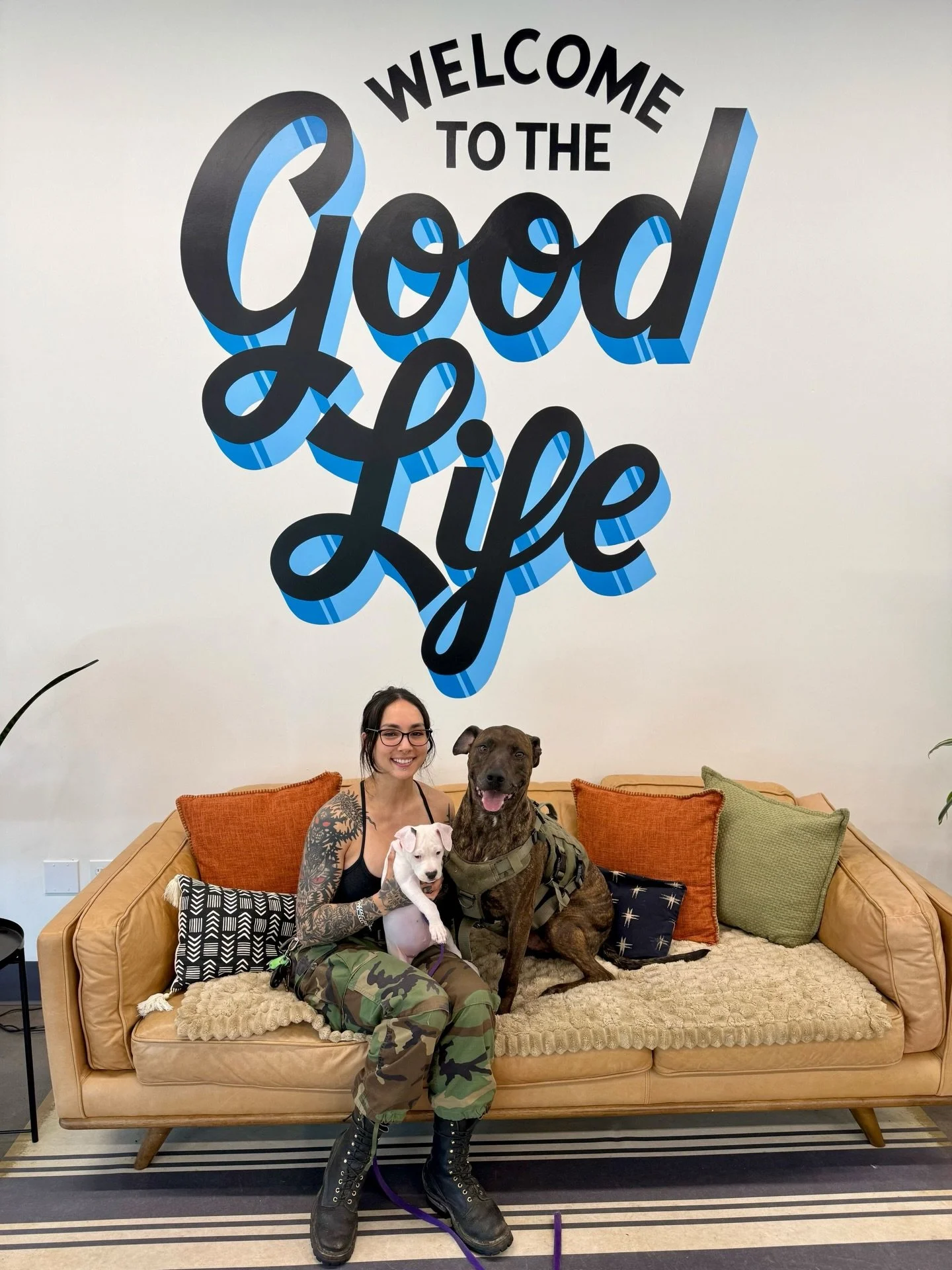 It&rsquo;s a busy day around here with a Chupie update, 12 adoptions to celebrate, and New Dog Day happening this afternoon!

Congratulations to Seashell, Riptide, Sand Dollar, Waves, Sand Castle, Nemo, Sherri, Coral, Colada, Holly, Pina, and Paloma.
