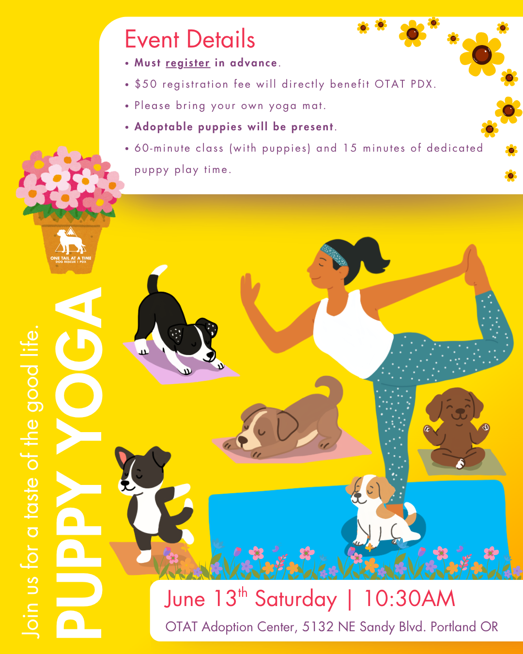 Puppy Yoga