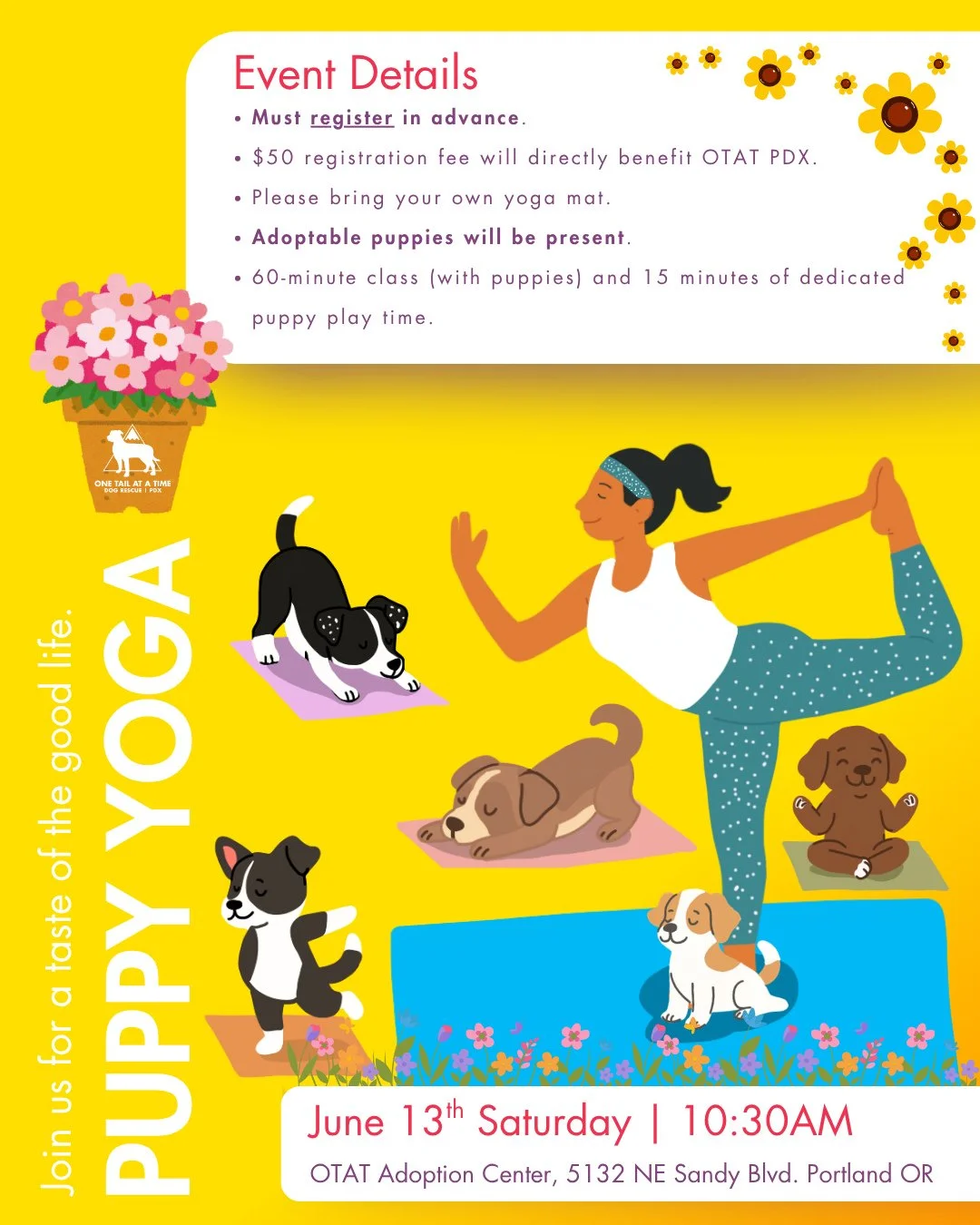 Mark your calendars for June 13th at 10:30AM because we're having another puppy yoga class at our Adoption Center!⁠
⁠
Treat yourself to a 60 minute class led by a certified yoga instructor. The puppies will be here to assist with any positions - espe