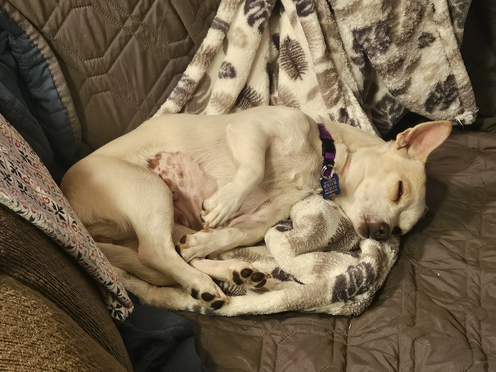 Devosleeps.jpg
