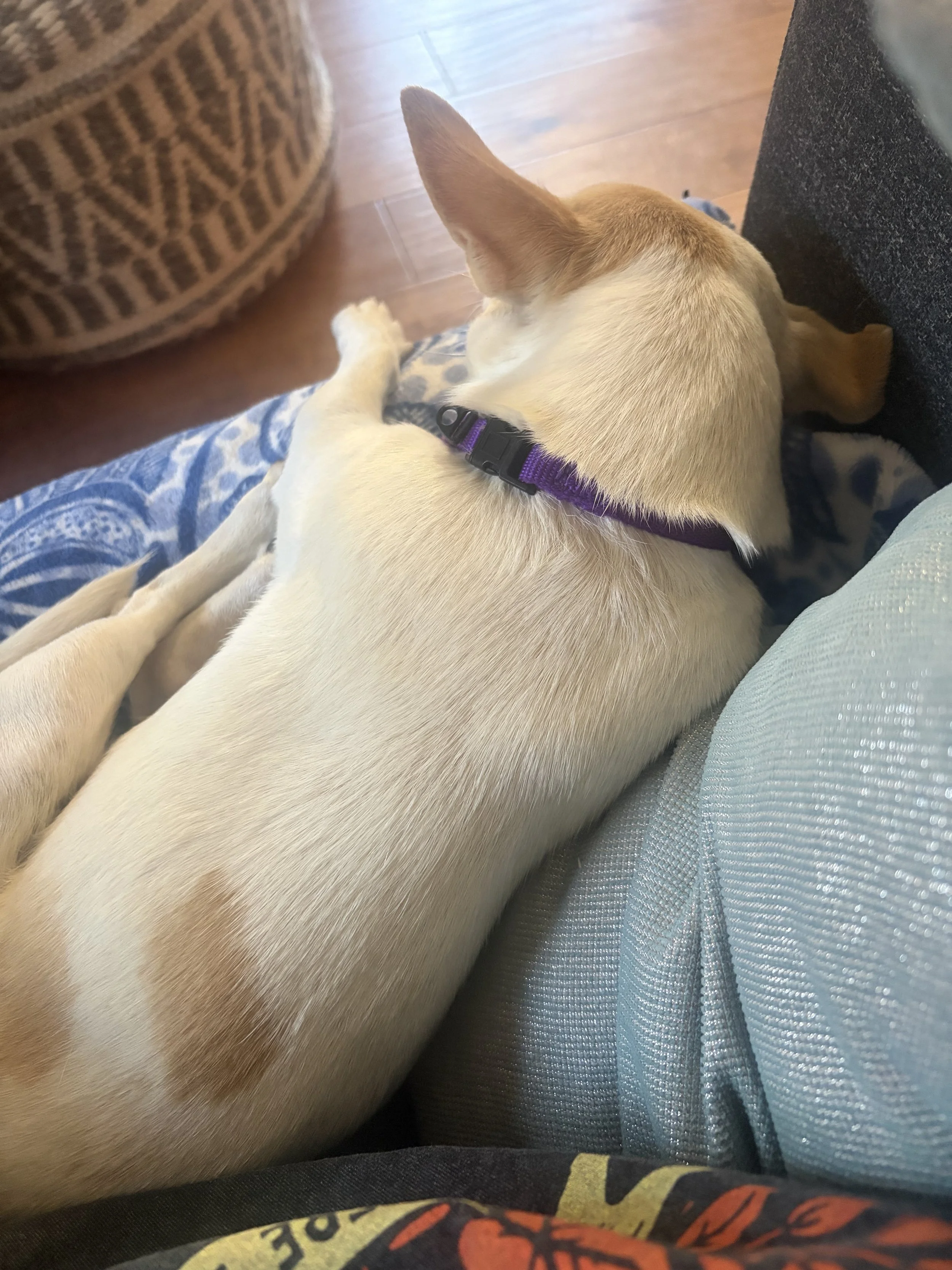 Devocuddles.jpeg