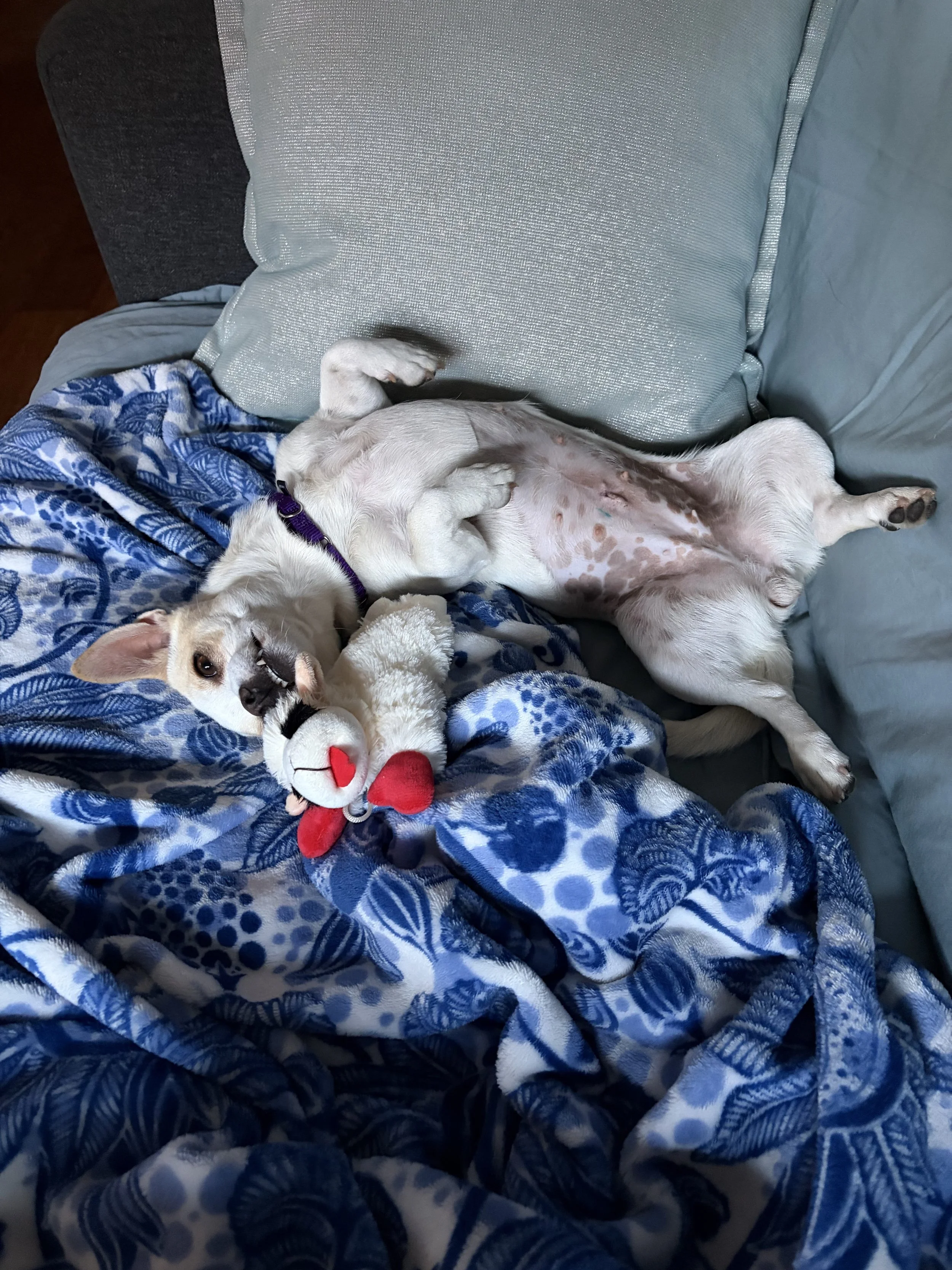 IMG_0428.jpeg
