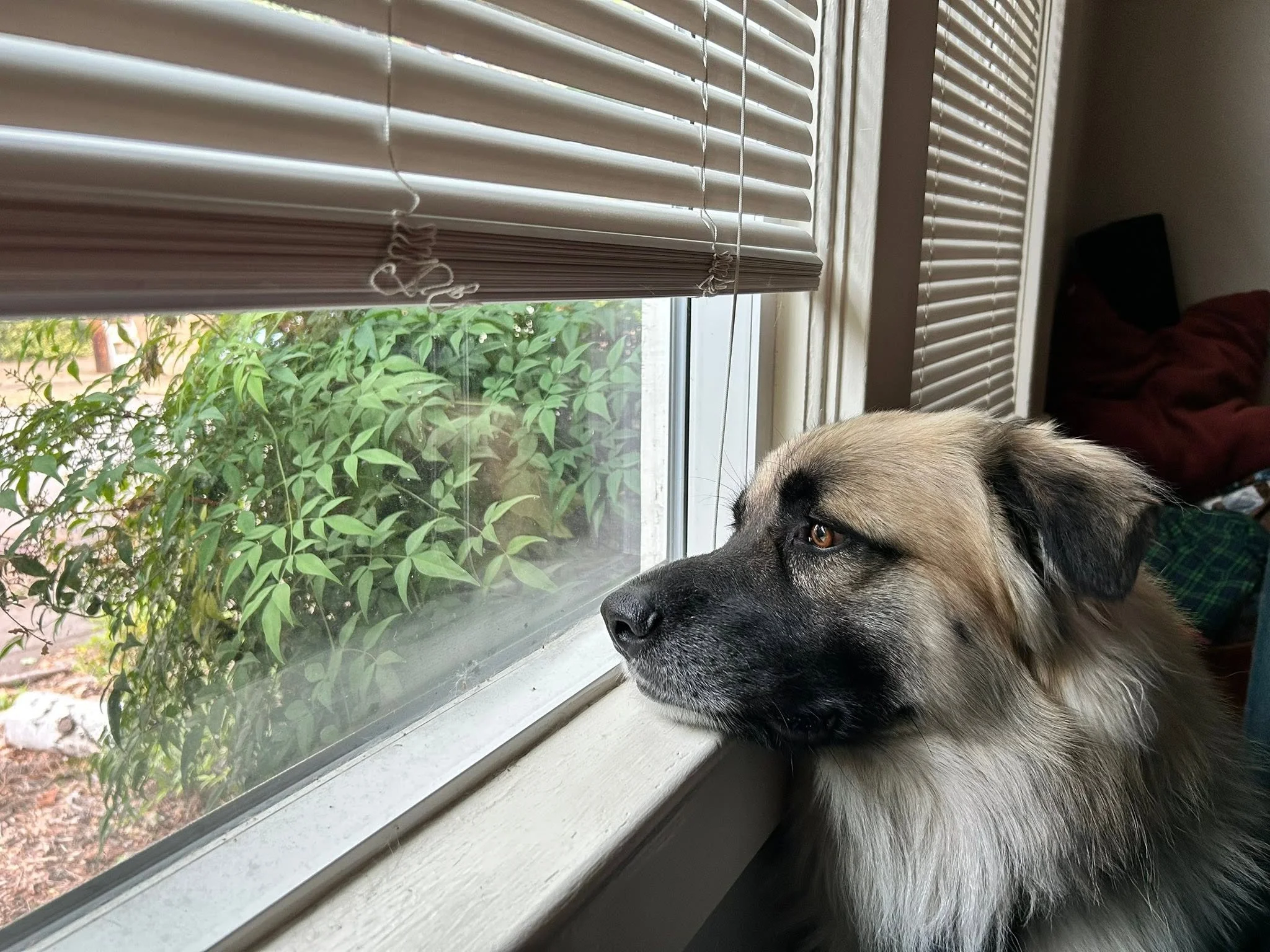 Zeus1.jpg