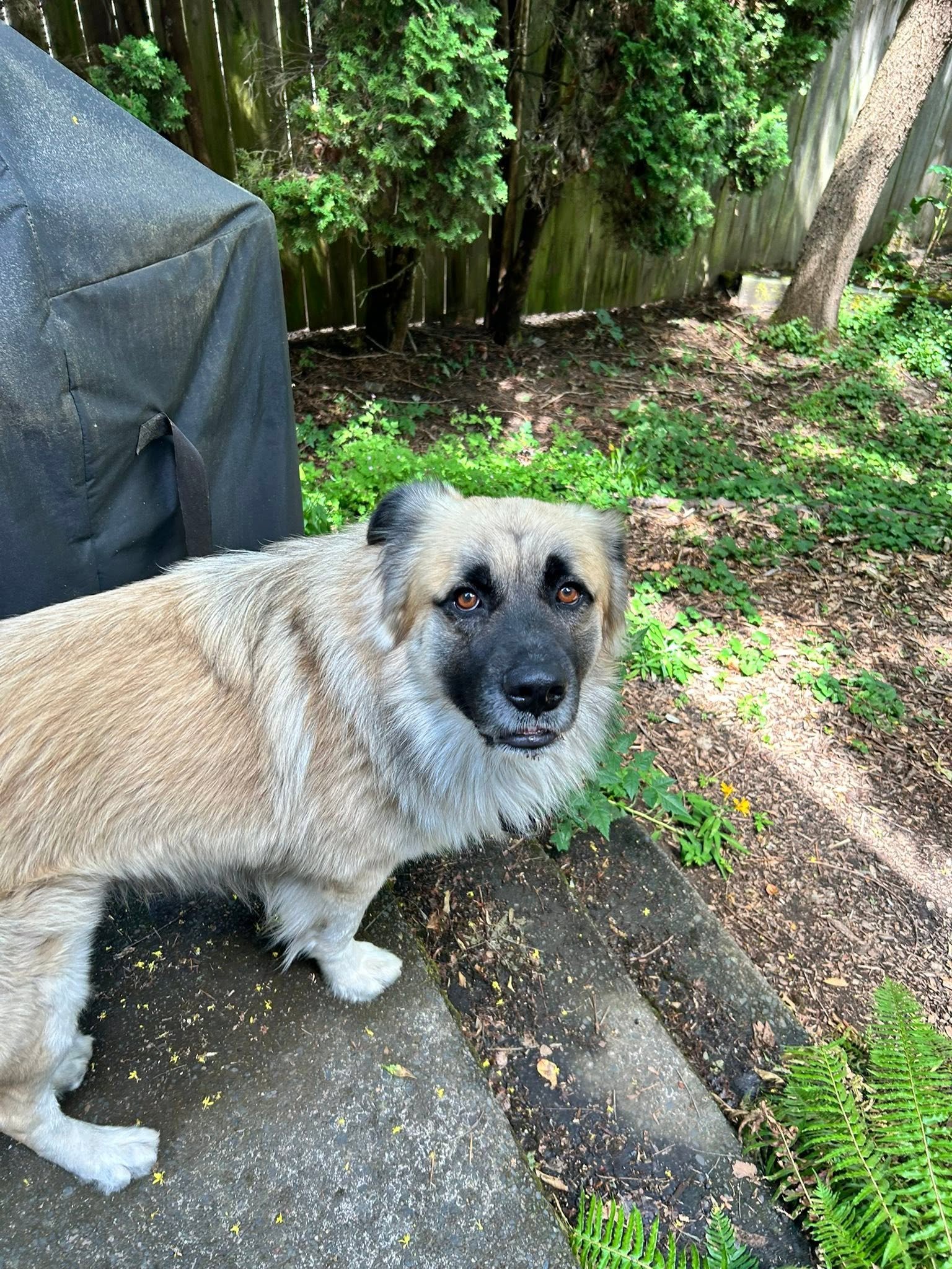 Zeus.jpg