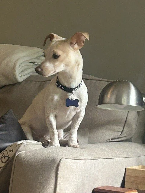 Nyxcouchprofile.jpeg