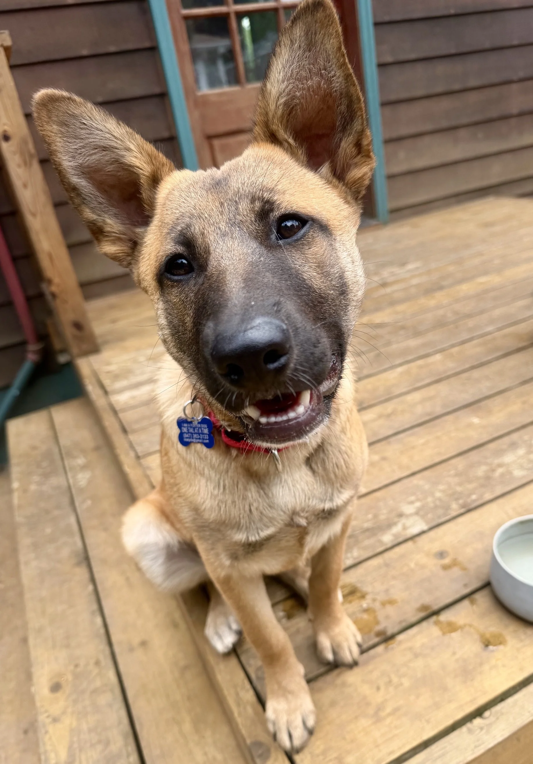 Sally - I’ll be at All Tails on 7/11!