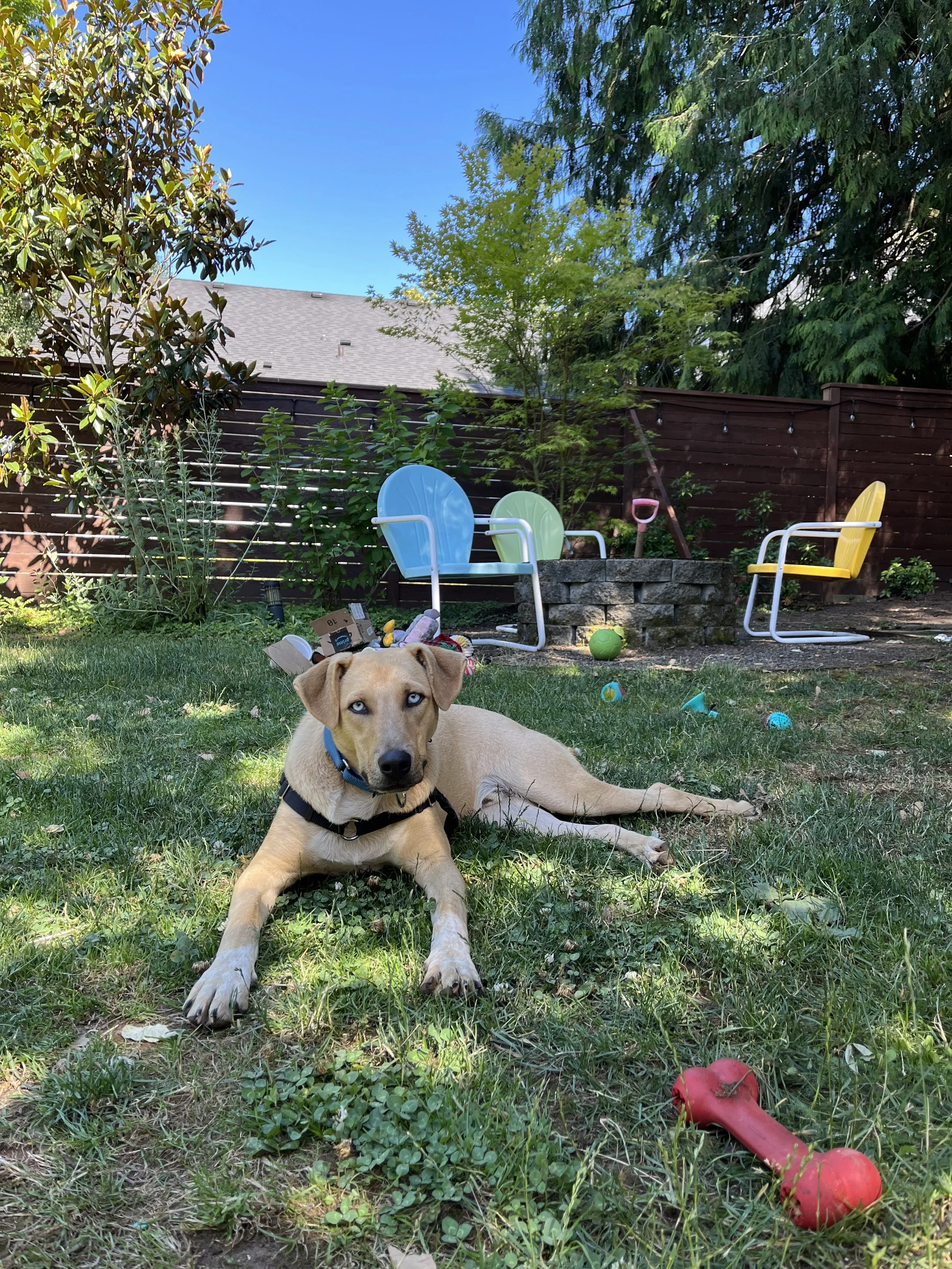 IMG_4586.jpeg