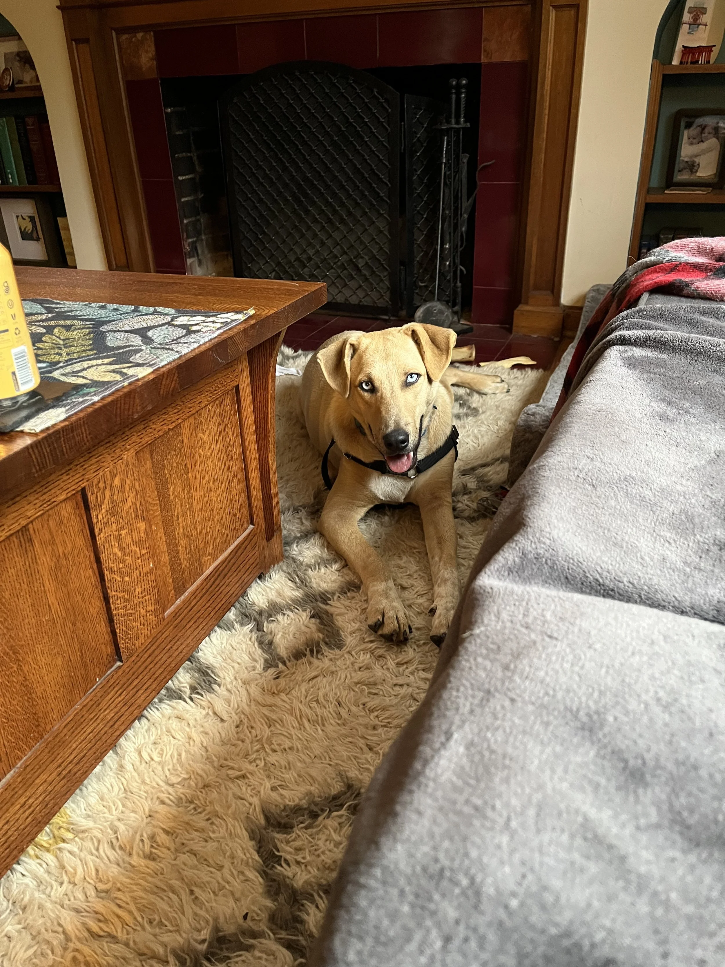 IMG_4578.jpeg