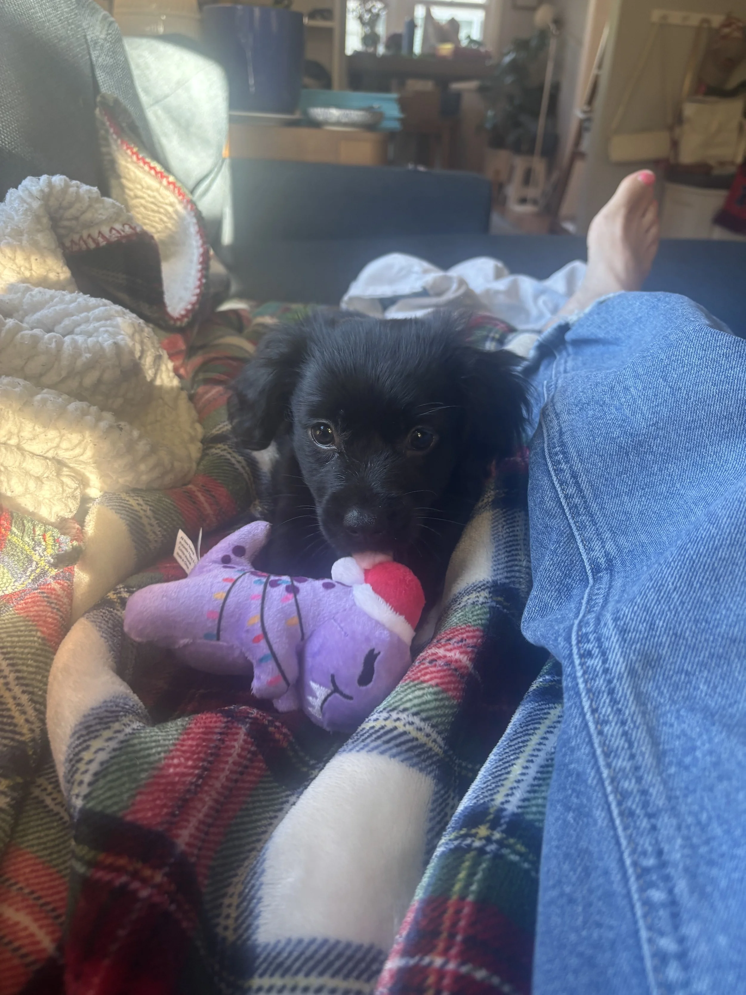 Lucy