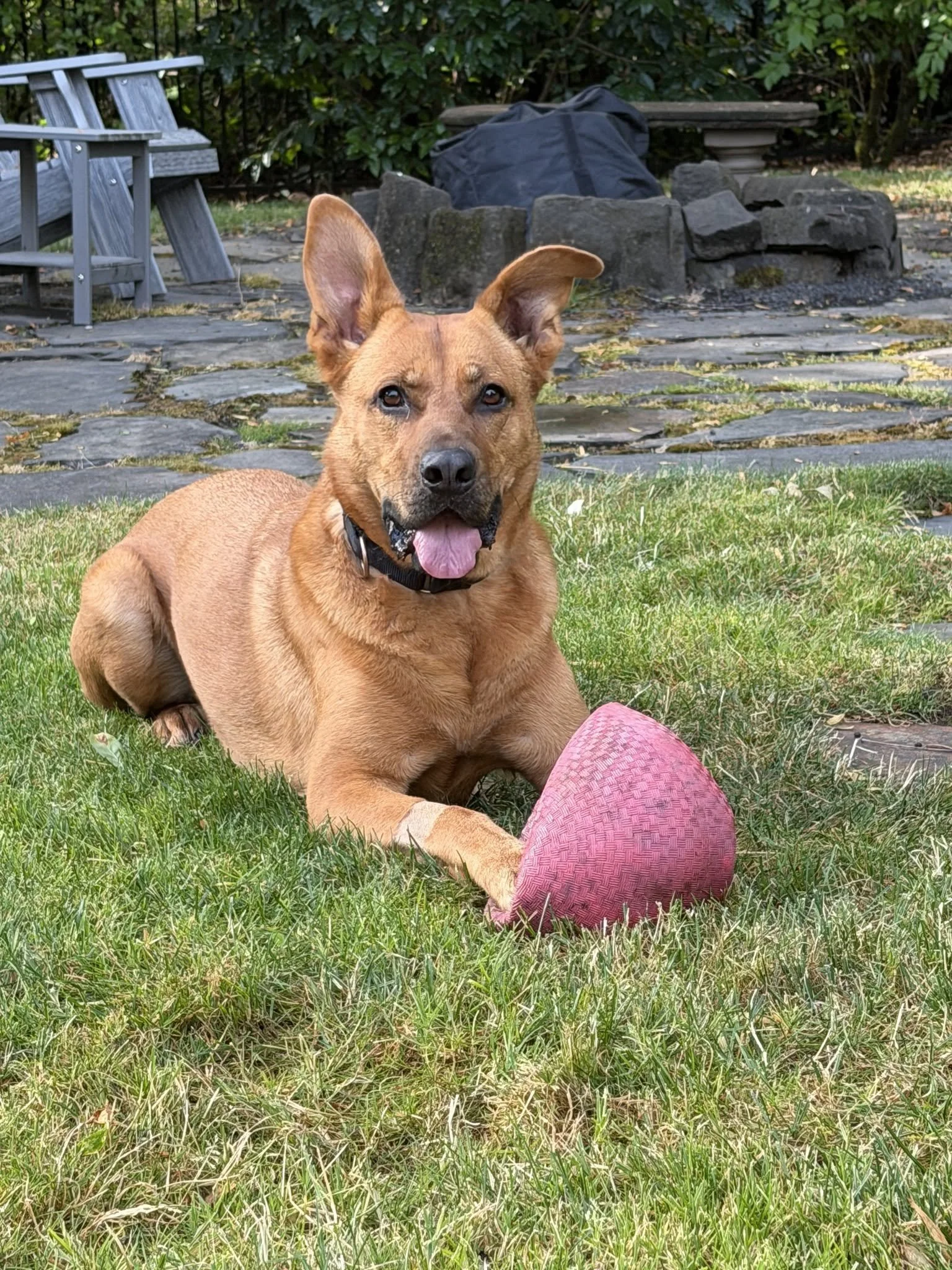 Noraball.jpg